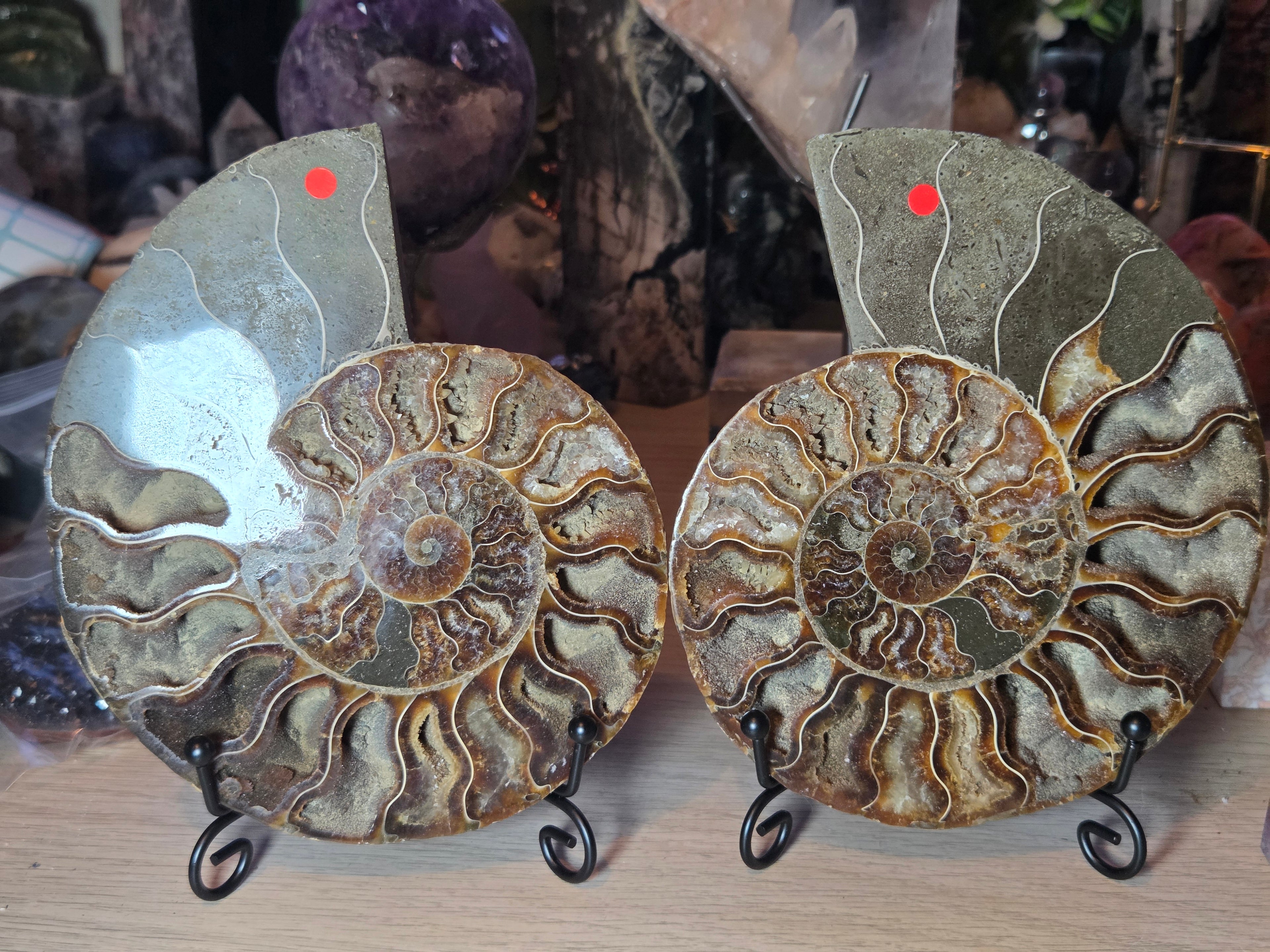 Large Amanite slices with Stands