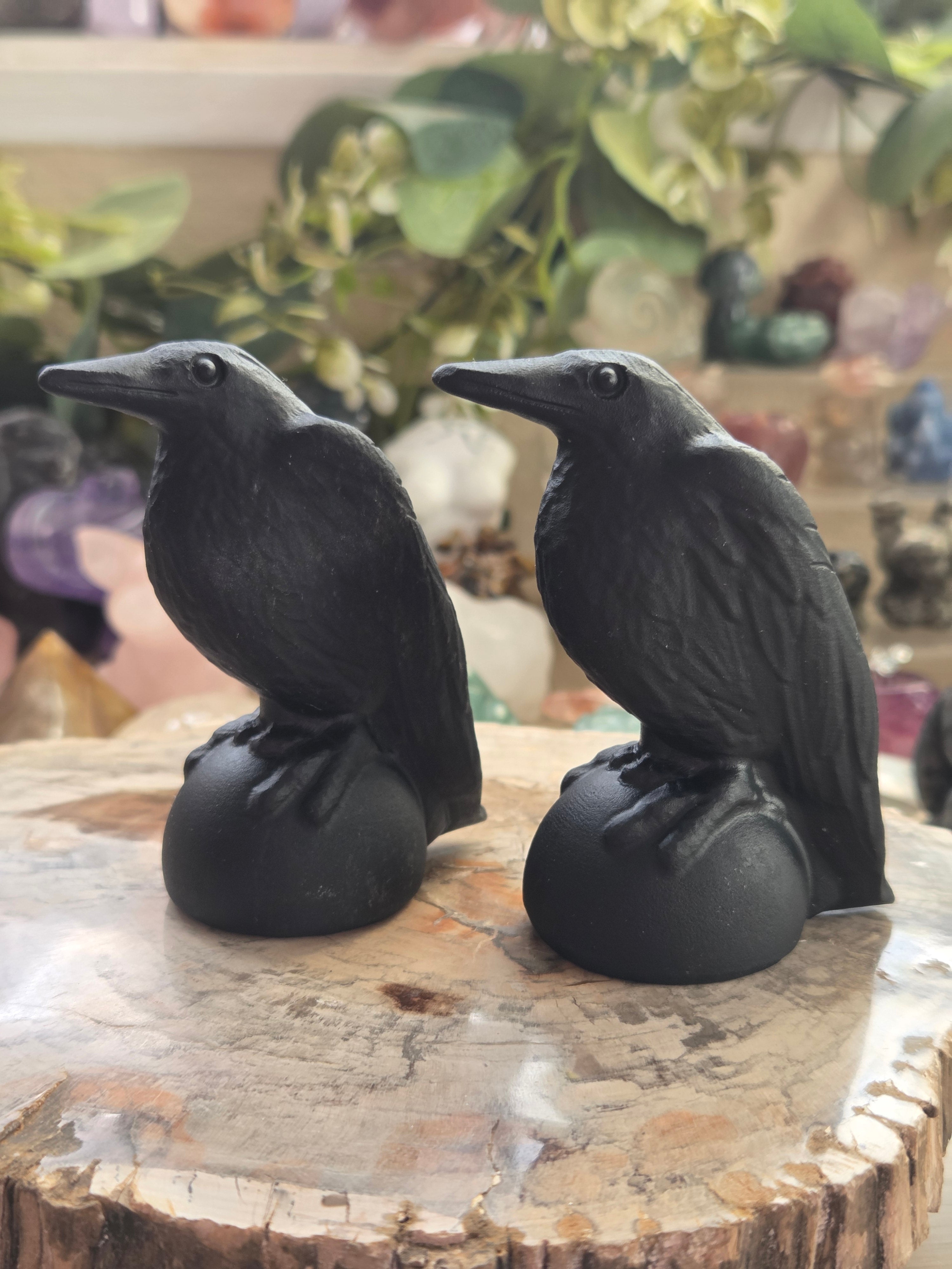 Odin Ravens set of 2