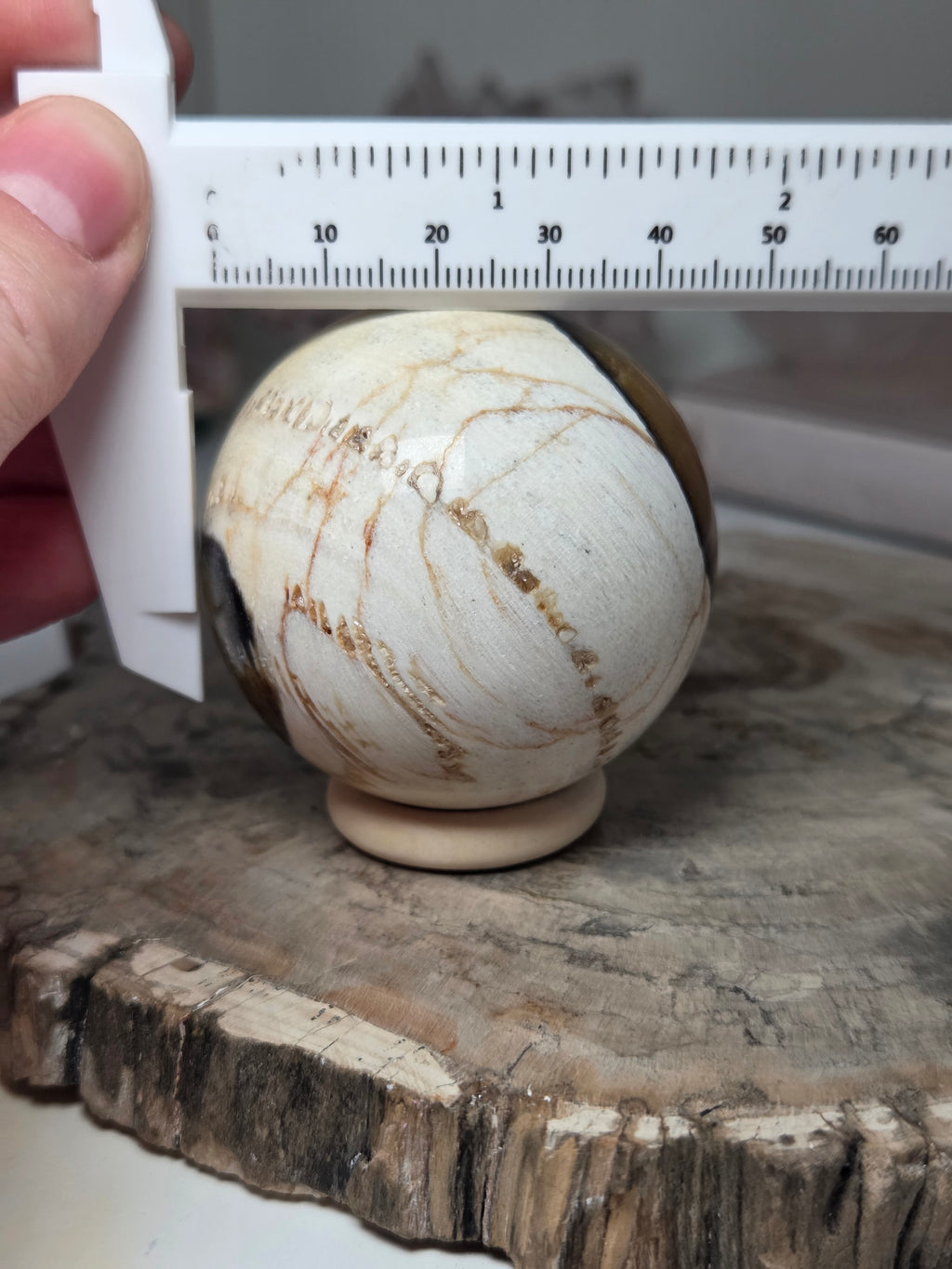 Petrified wood sphere