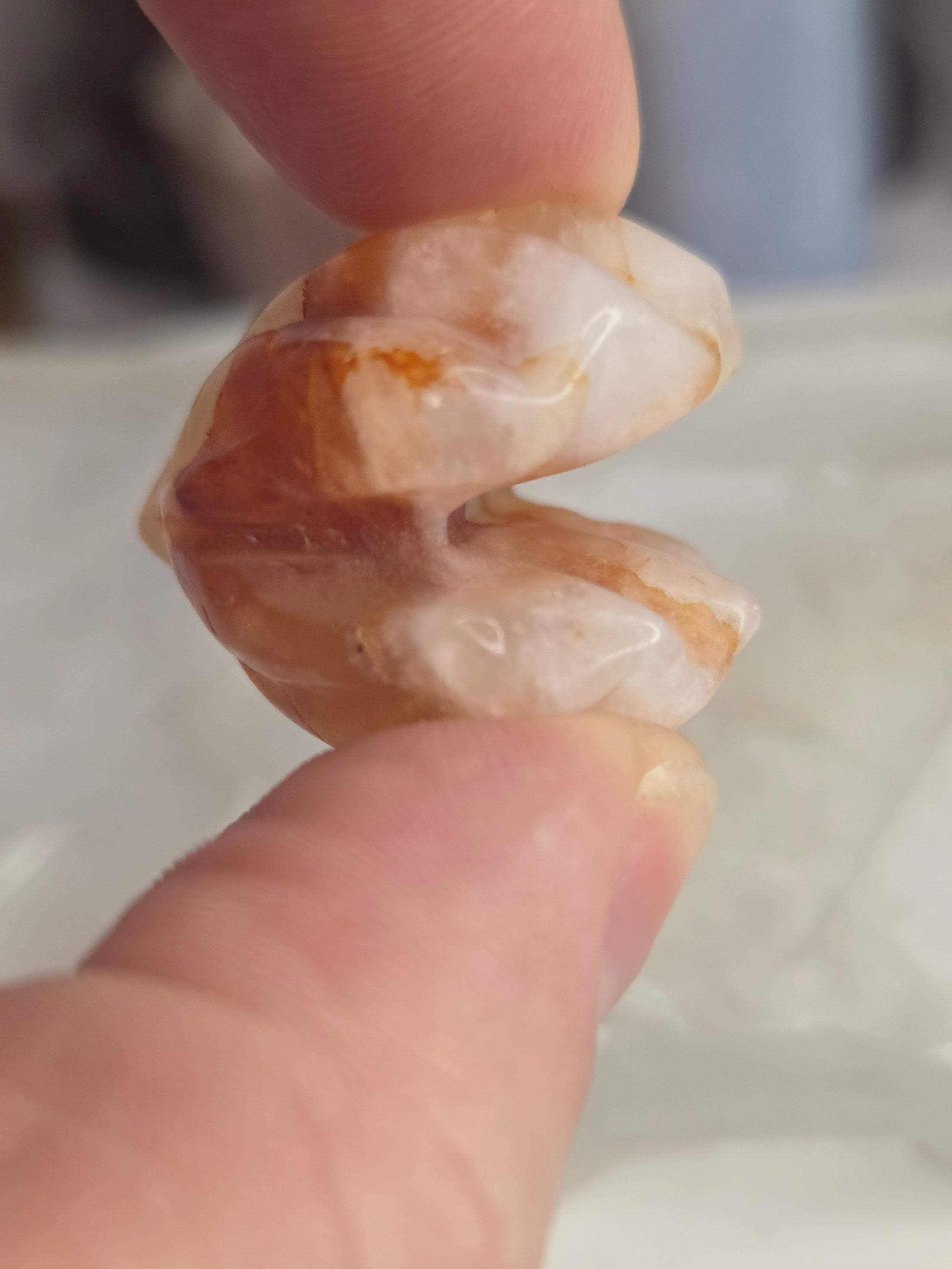 Crystal  mini clams