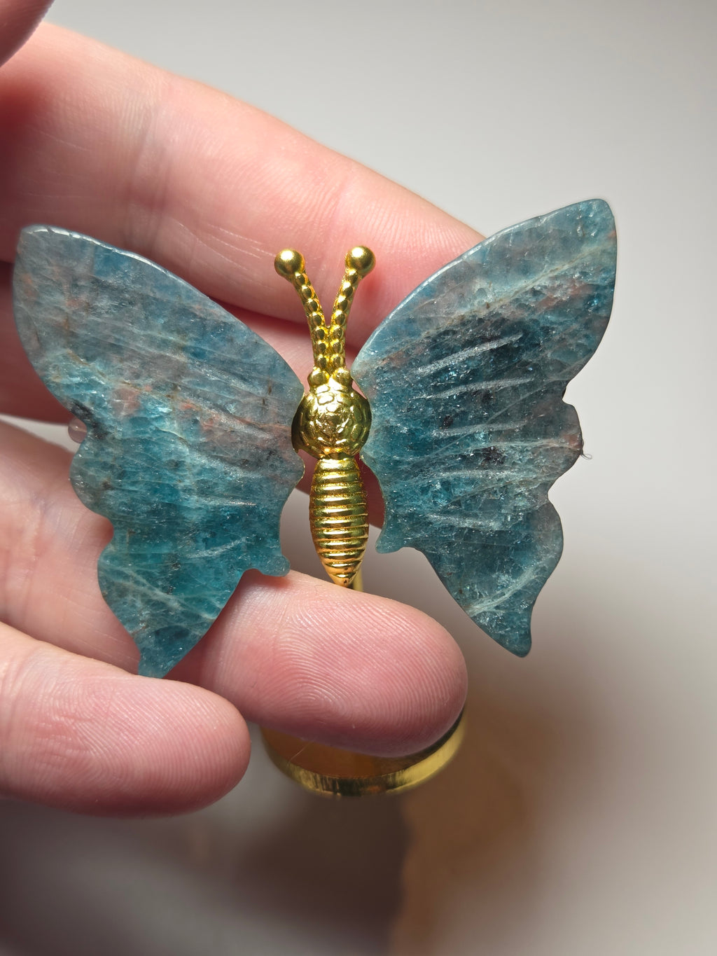 Apatite crystal butterfly crystal on stand