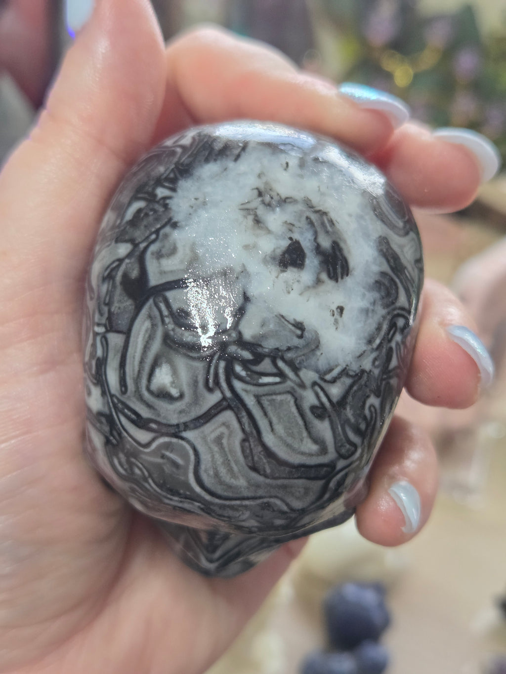 Fossilised coral stone crystal large skull