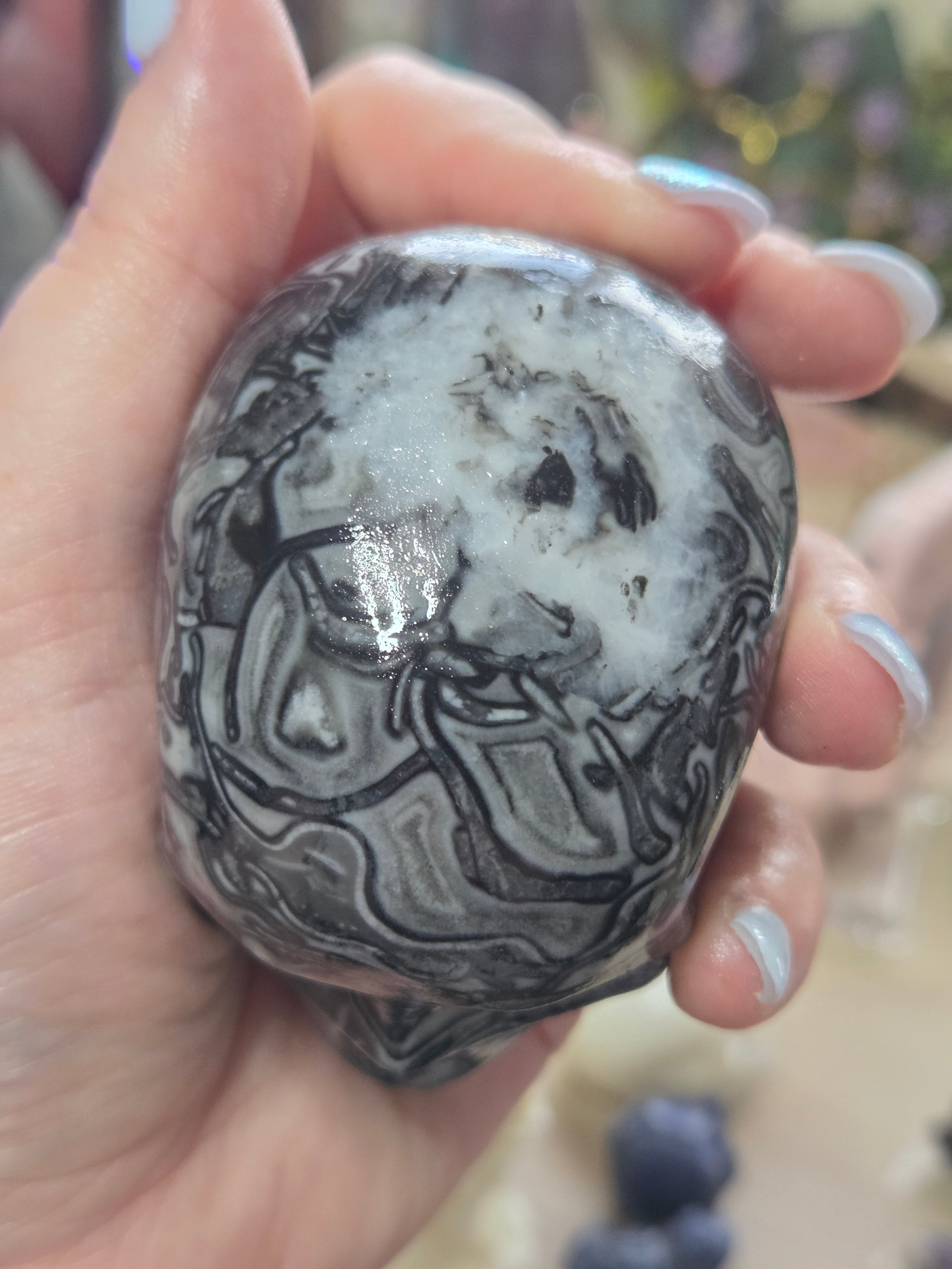 Fossilised coral stone crystal large skull