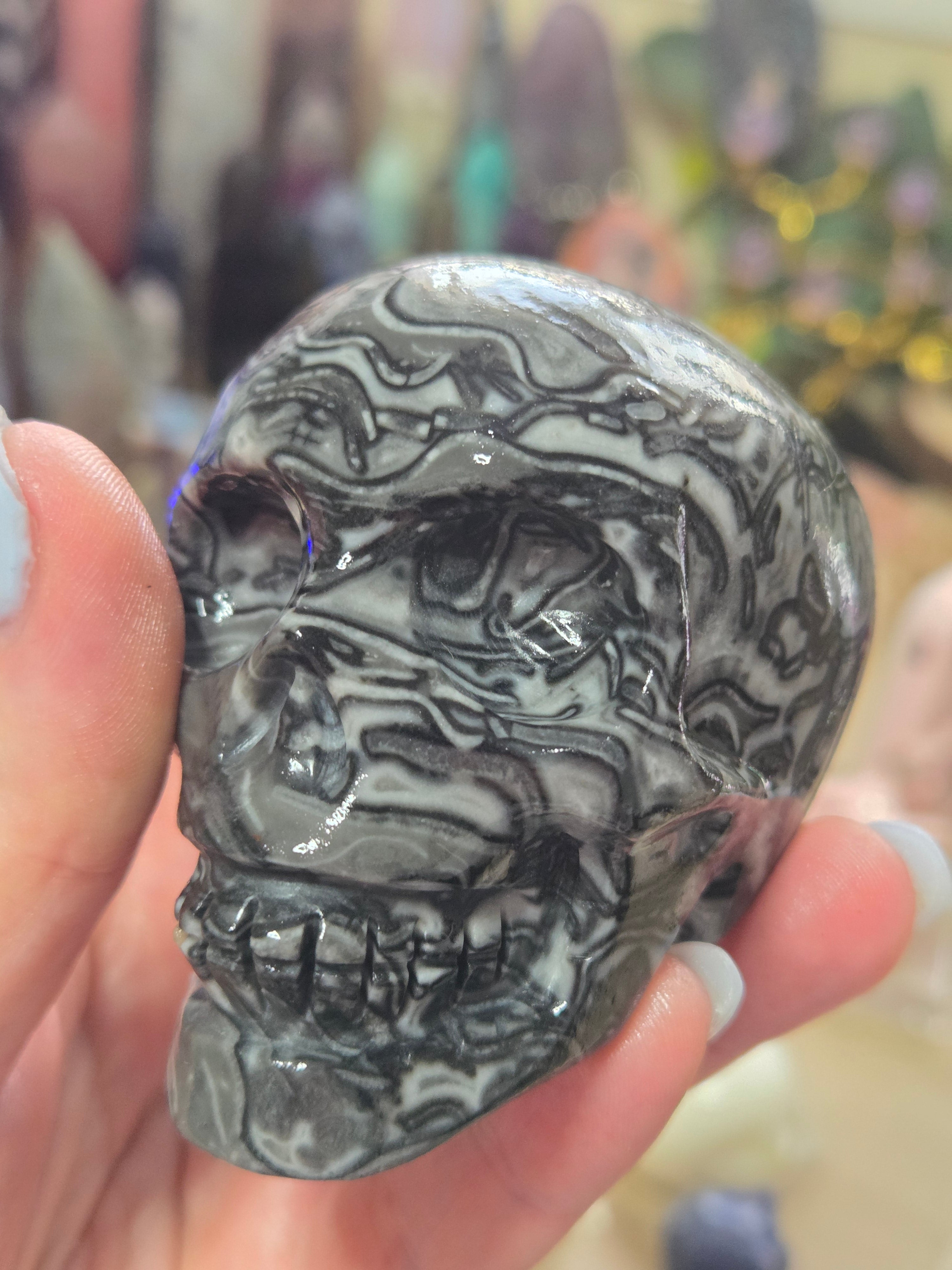 Fossilised coral stone crystal large skull