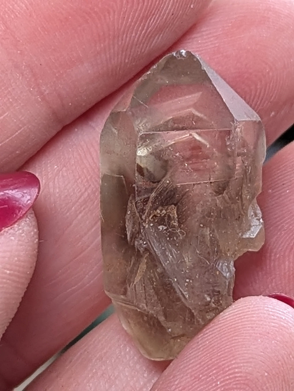 Smokey  Cruz quartz crystal specimen in case