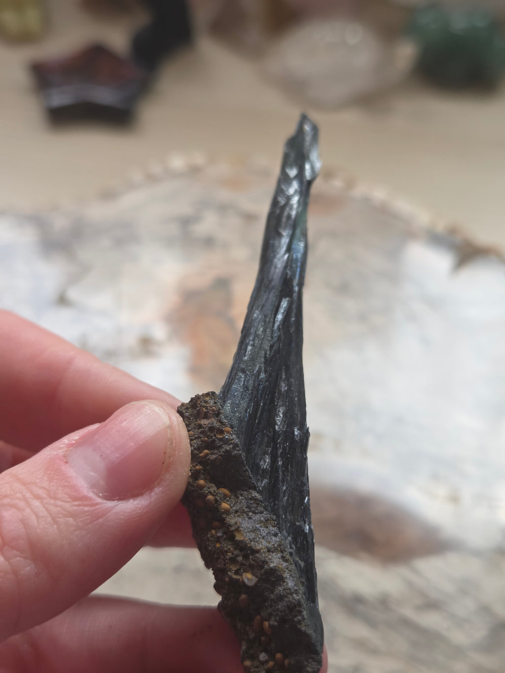 Genuine Vivianite specimen in box