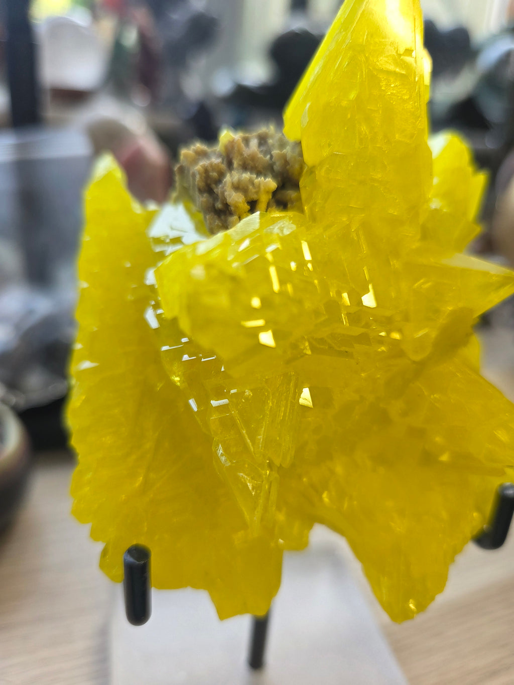 Rare Sulphur specimen with Stand