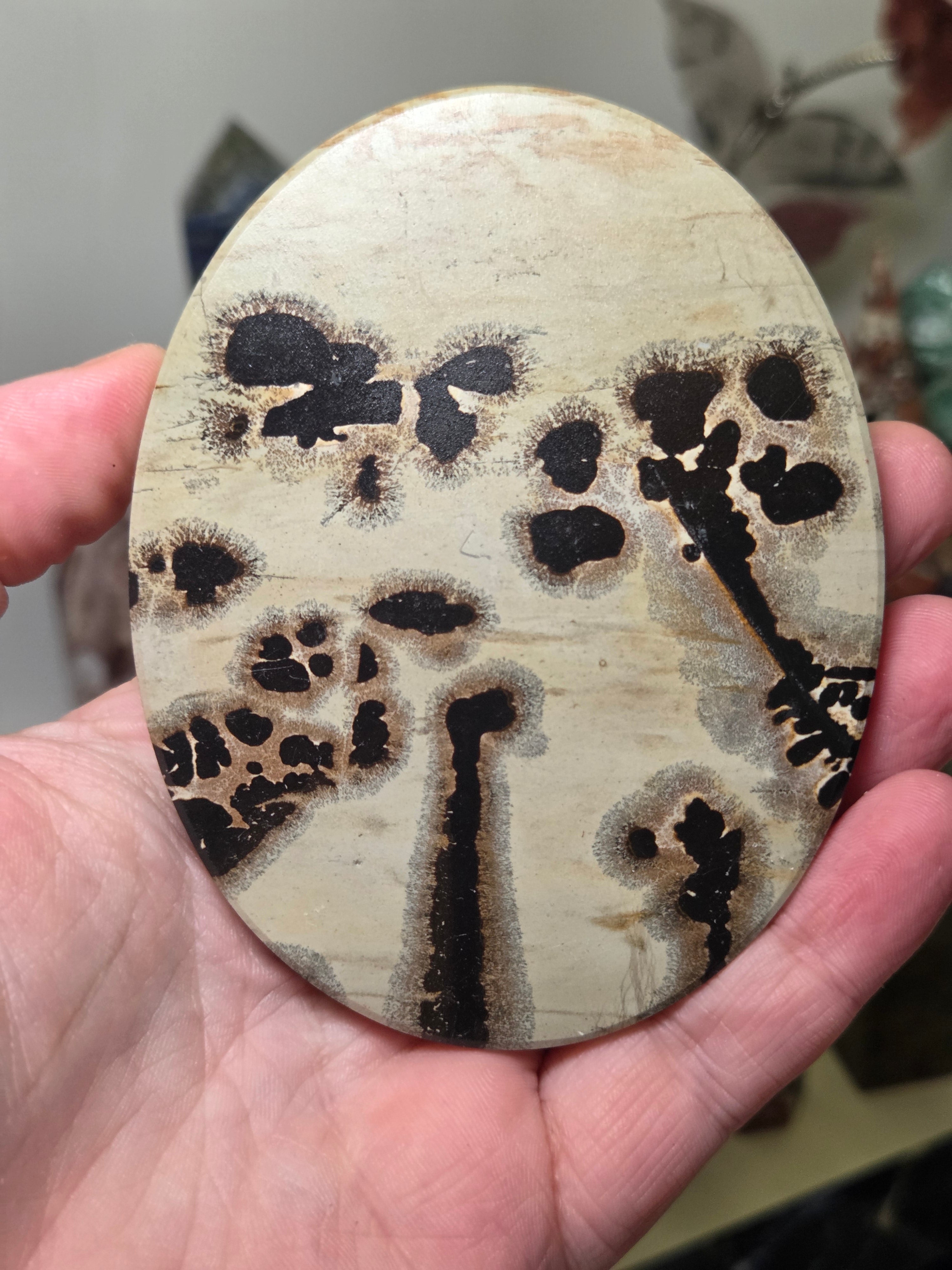 Picture jasper crystal slice