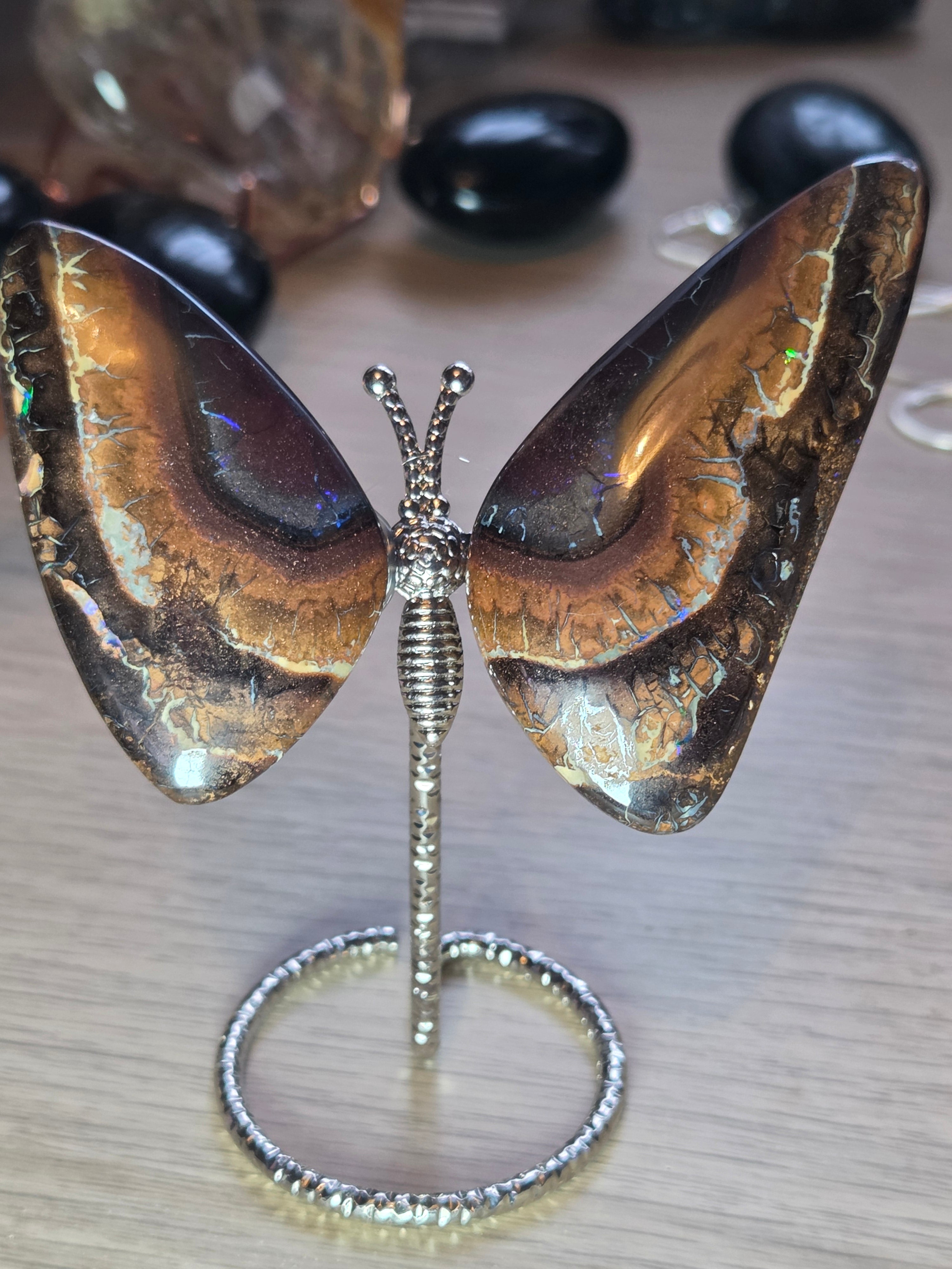 Rare bolder opal crystal butterfly and cut and polished