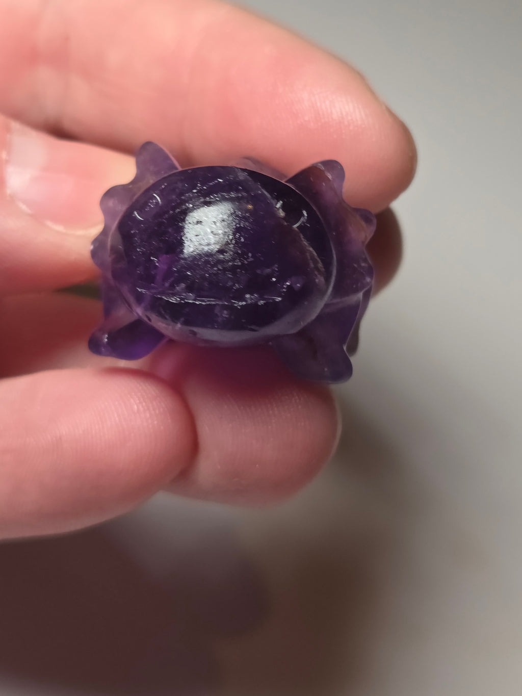 Purple flourite small carving Axolotl