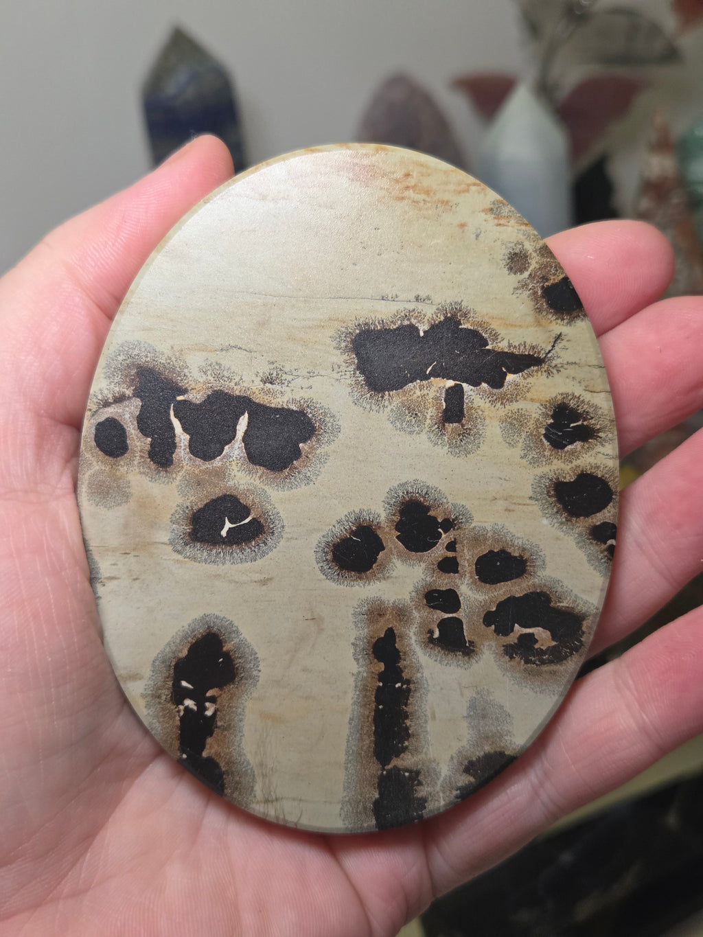 Picture jasper crystal slice