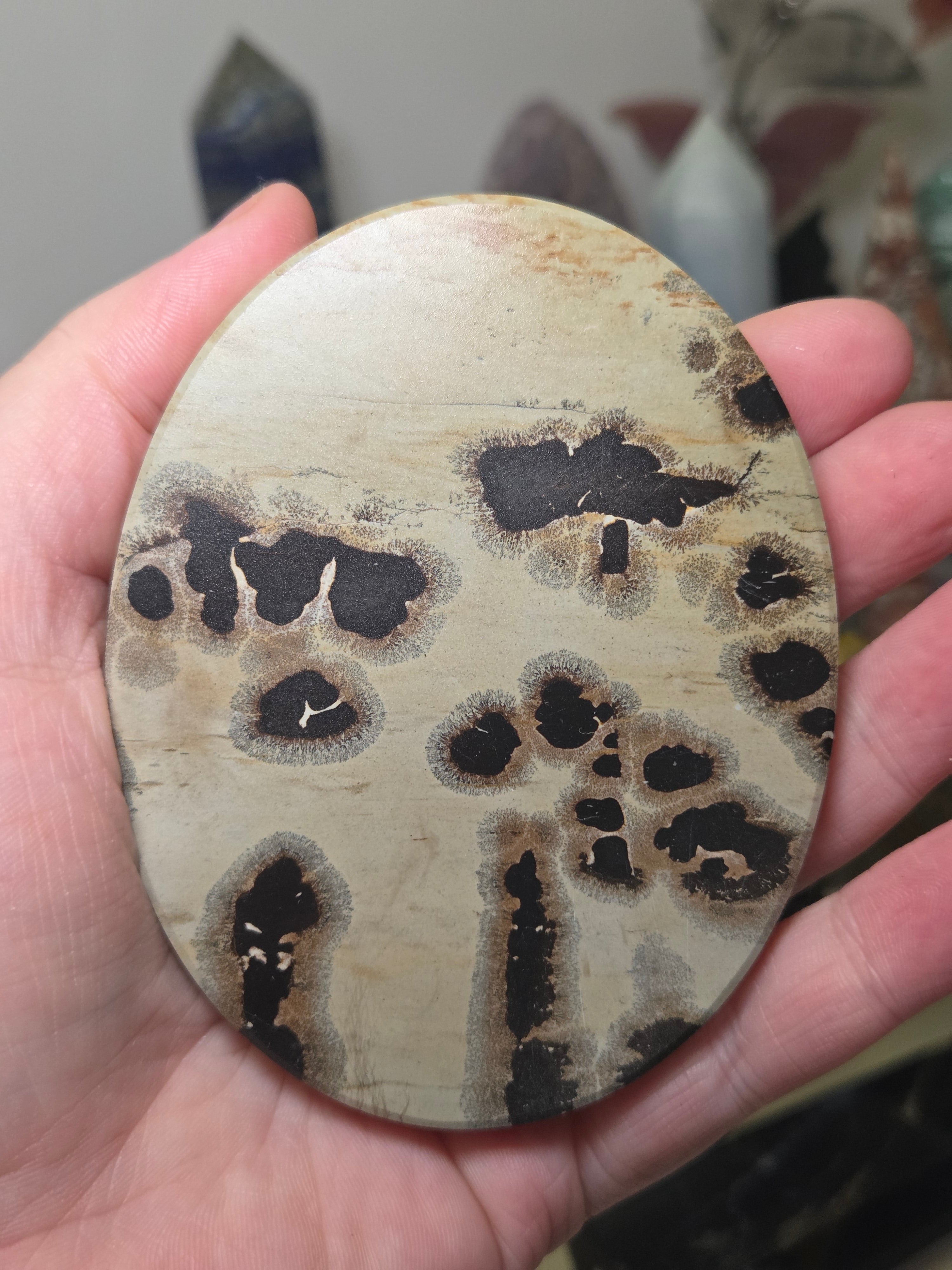 Picture jasper crystal slice