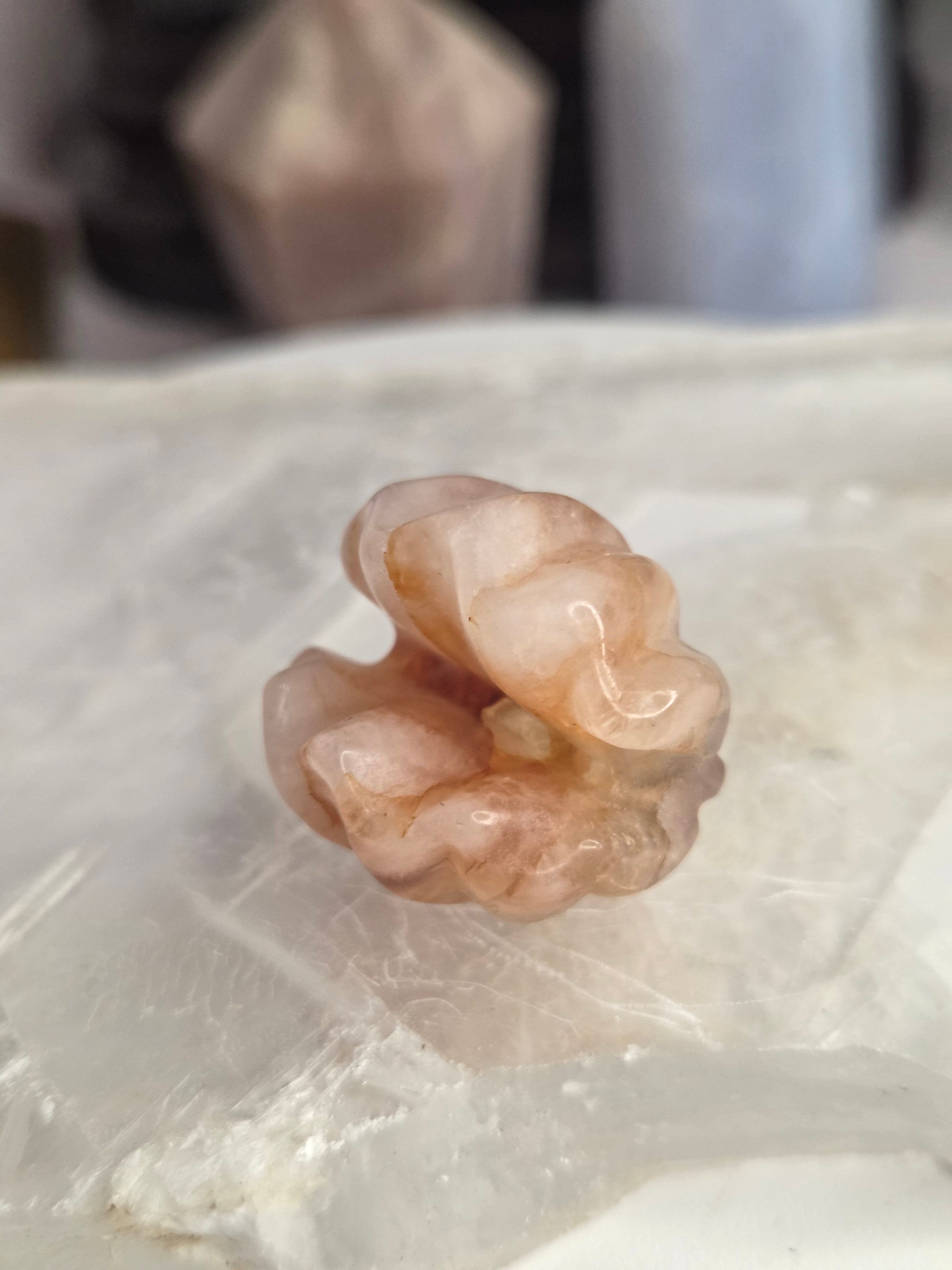 Crystal  mini clams