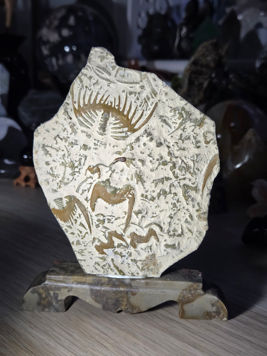 Ancient fossil arthropods called trilobites slab on jade stand