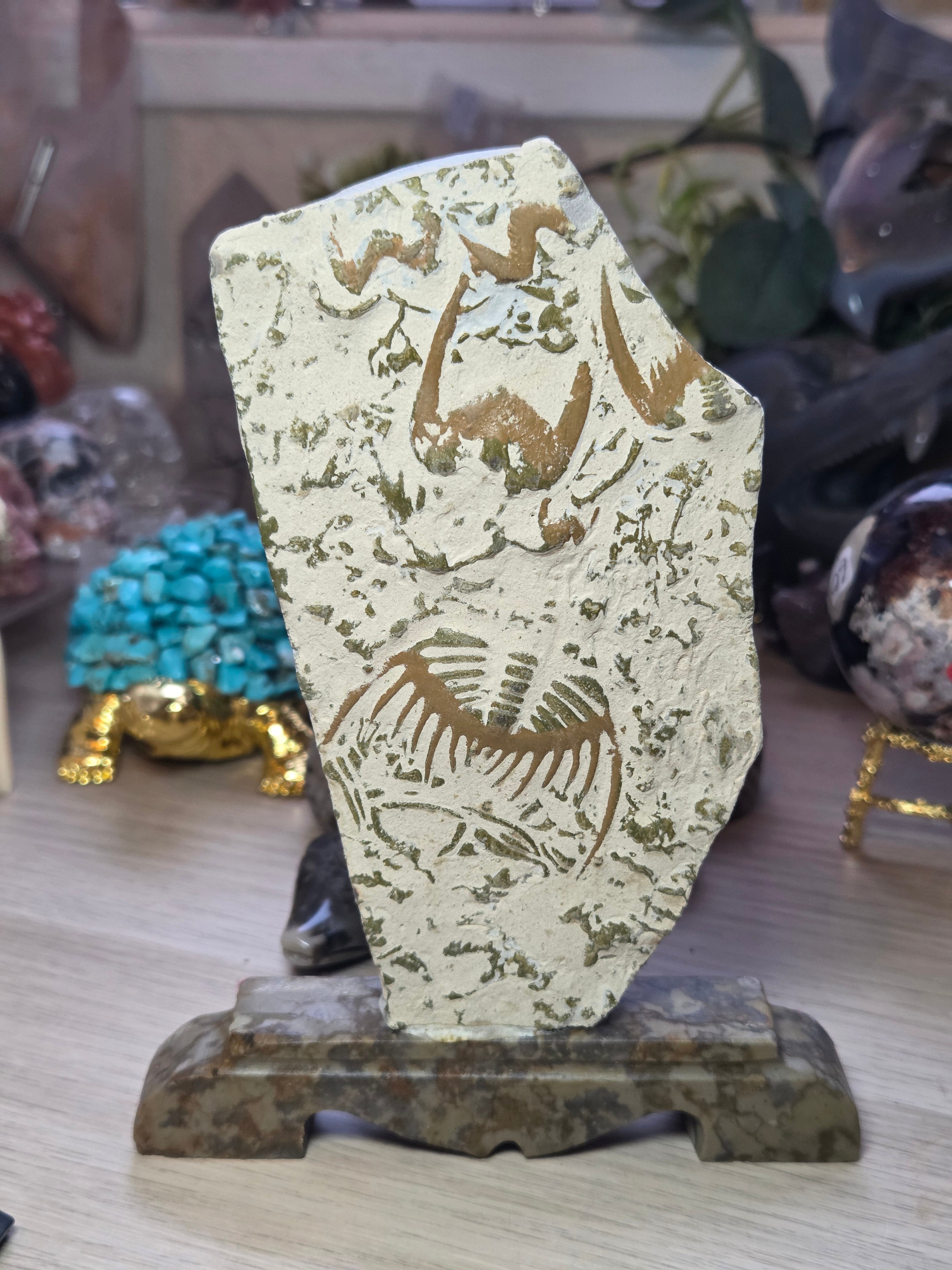 Amazing  Fossil specimen from Provance