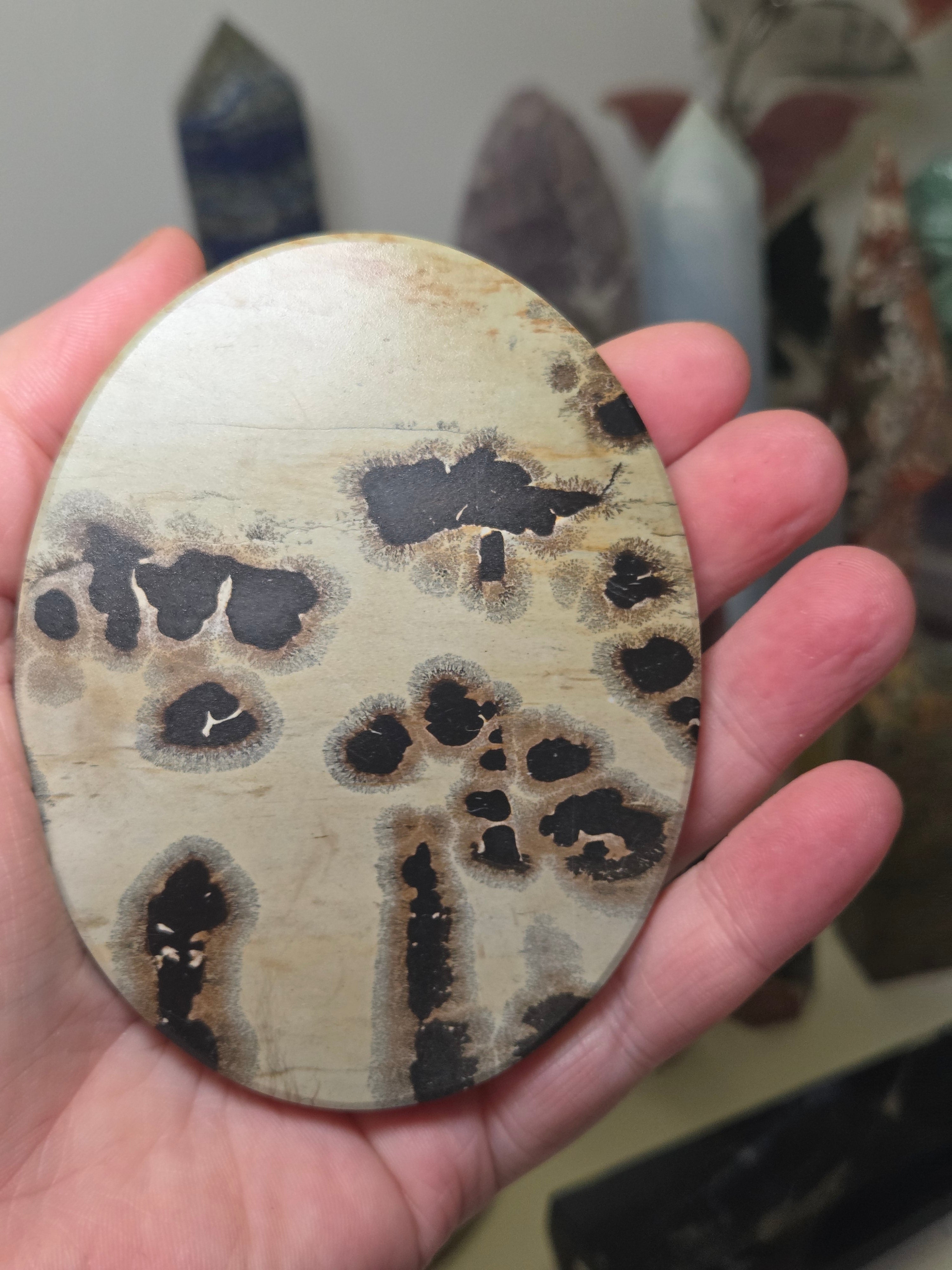Picture jasper crystal slice