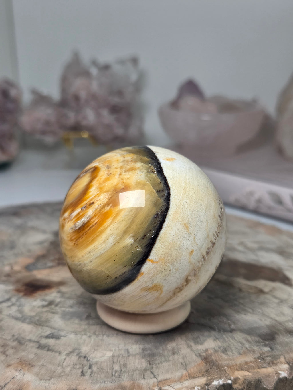 Petrified wood sphere
