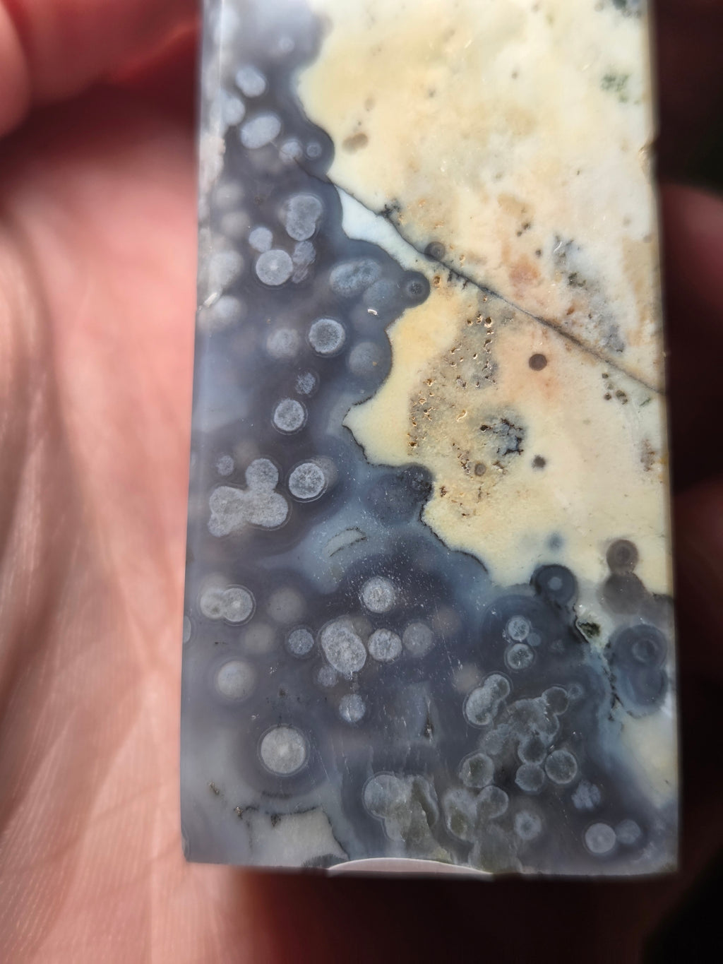 Stunning Crystal ocean Jasper