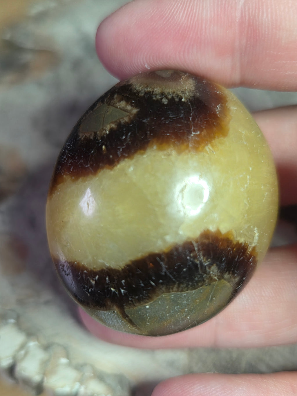 Septerian crystal palm stone
