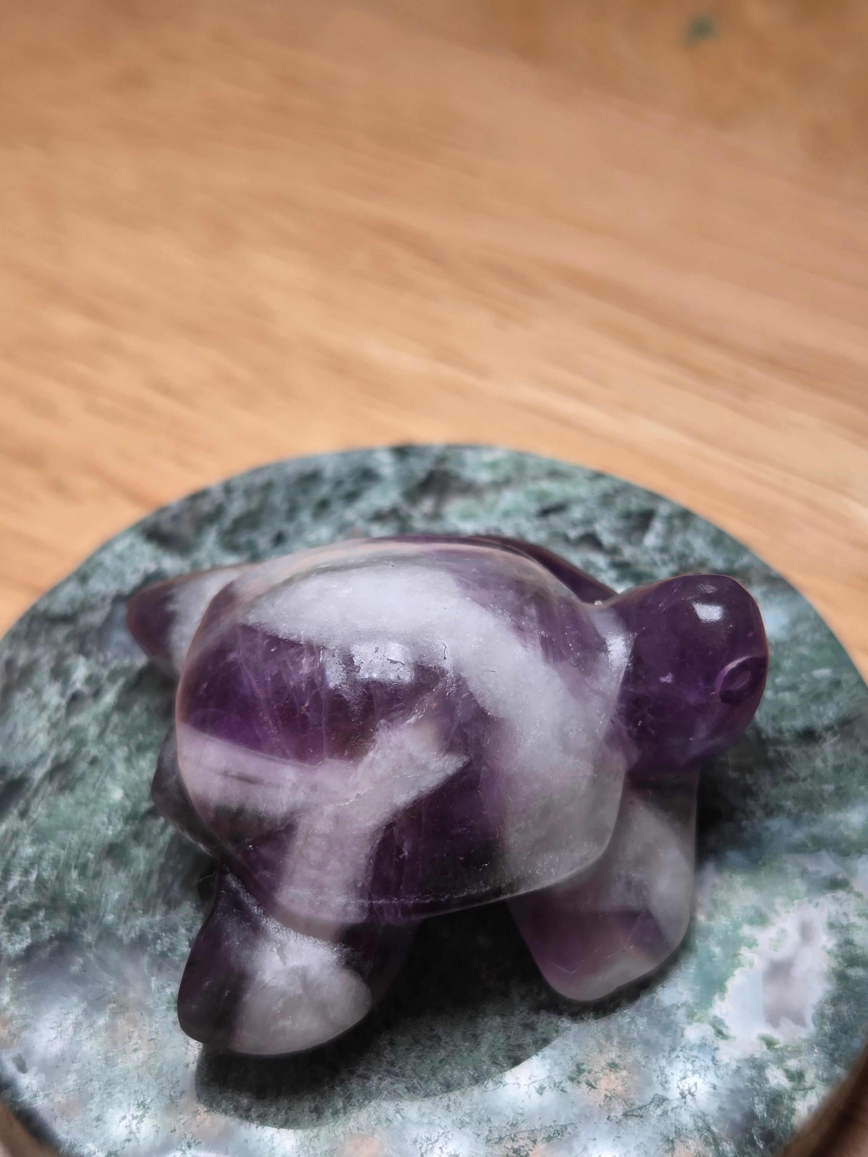 Crystal mini turtles