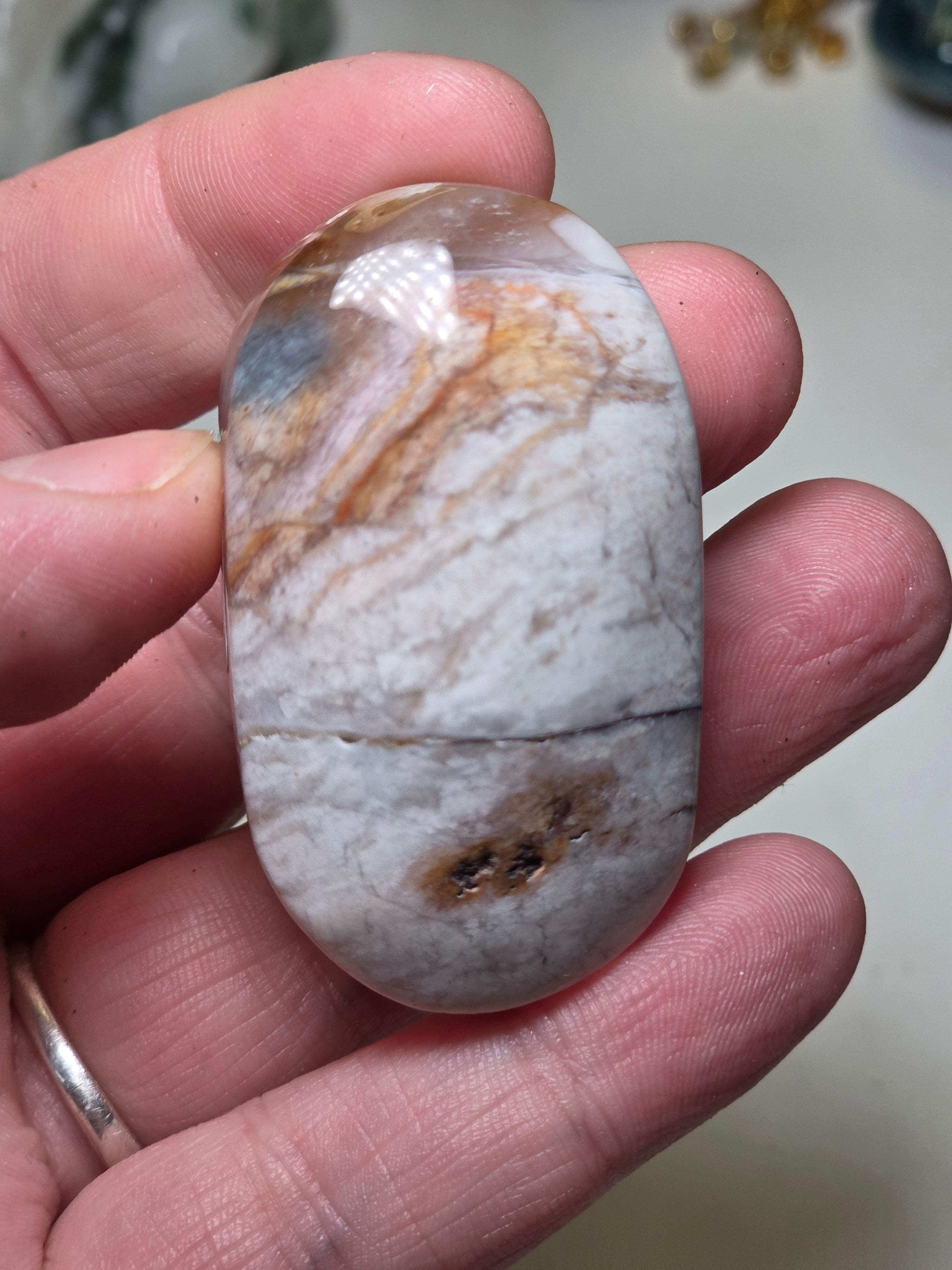 Pink petrified wood crystal palm stone