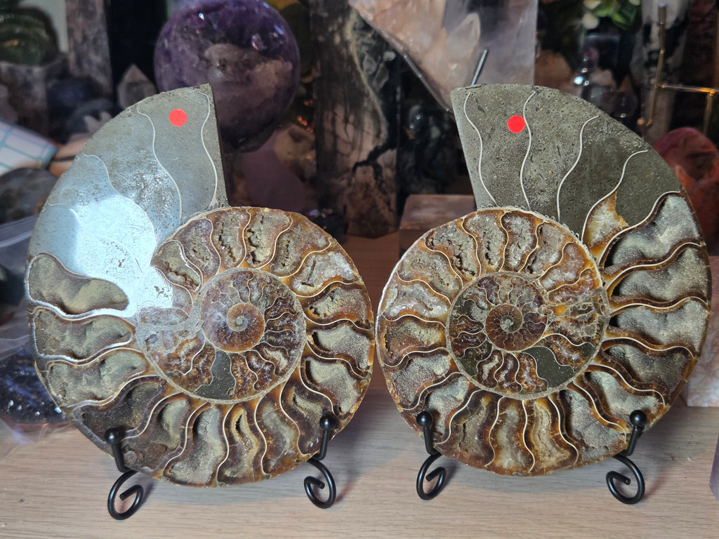 Large Amanite slices with Stands