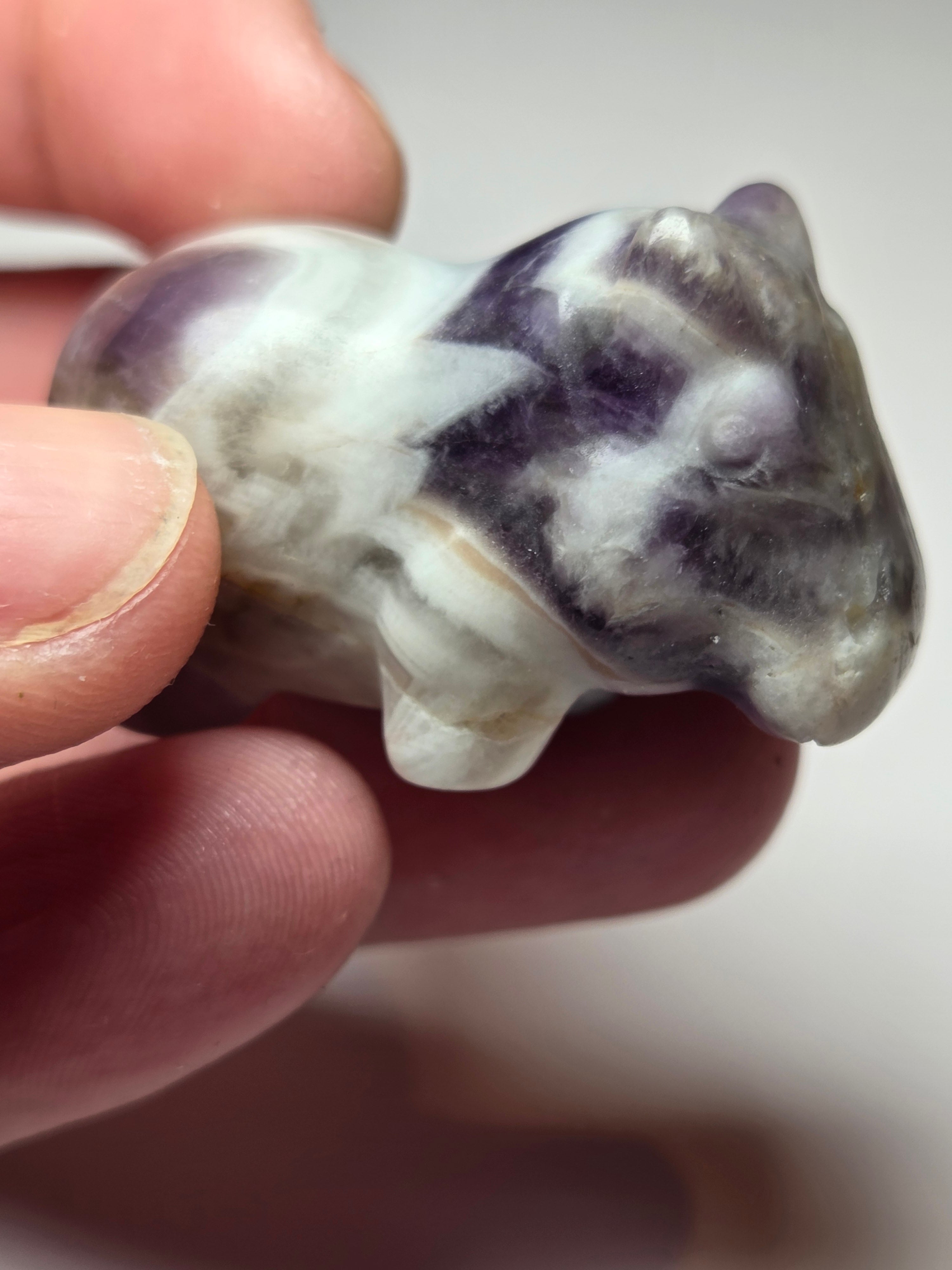 Dream Amethyst crystal hippo carving