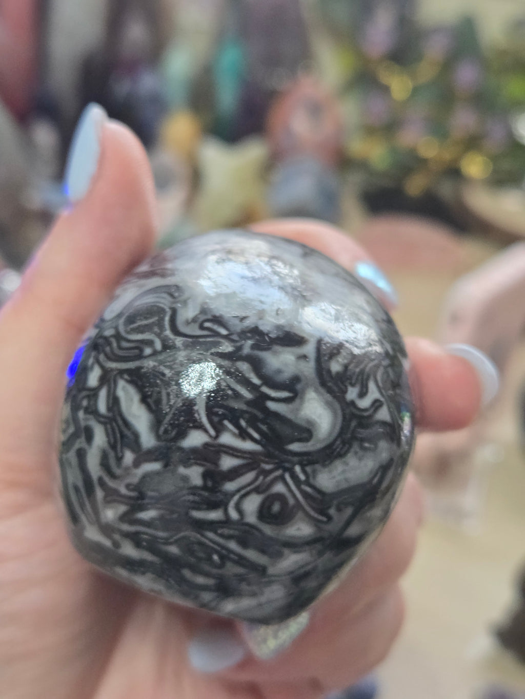 Fossilised coral stone crystal large skull