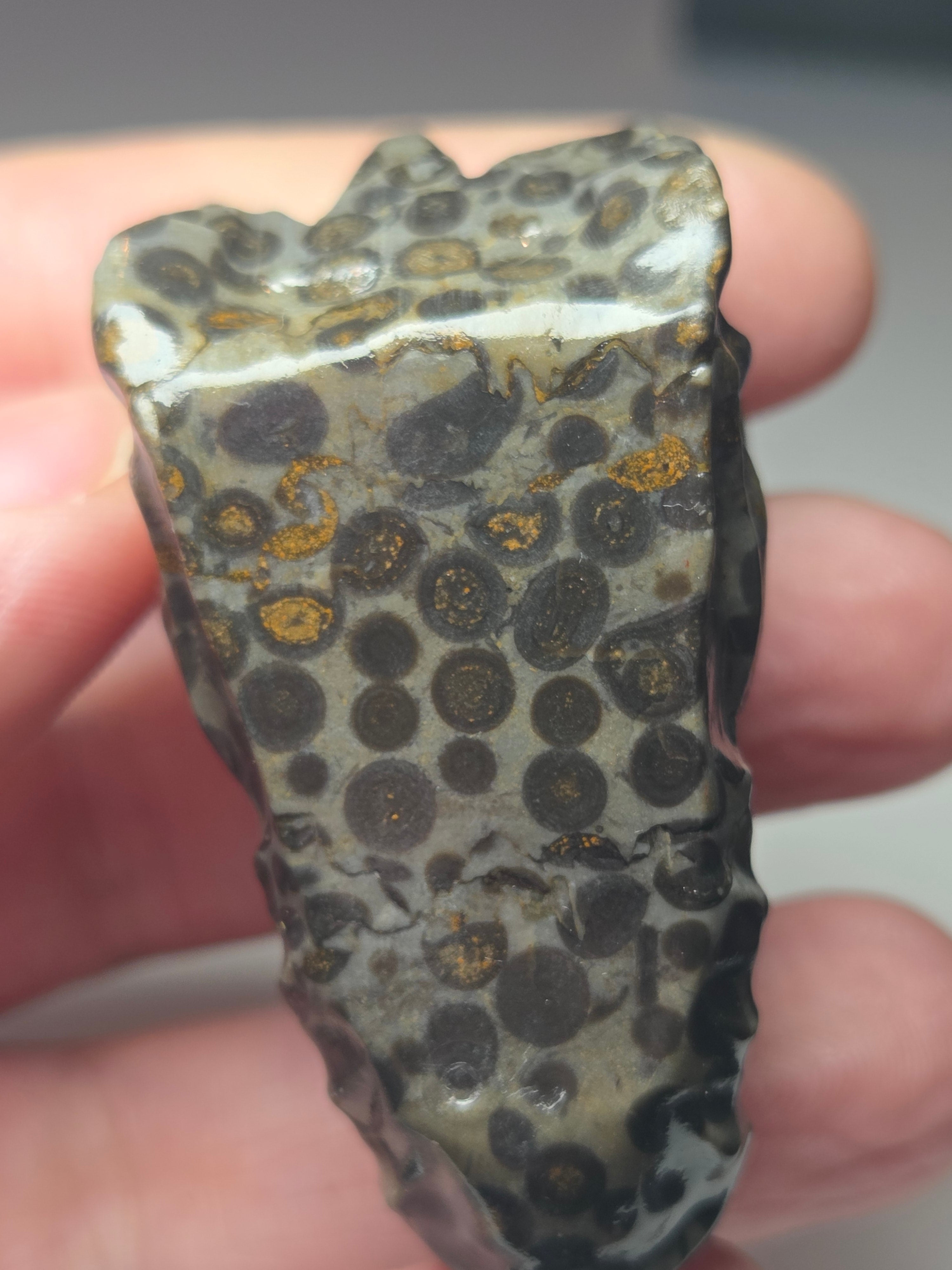 Jasper crystal dragon head carving