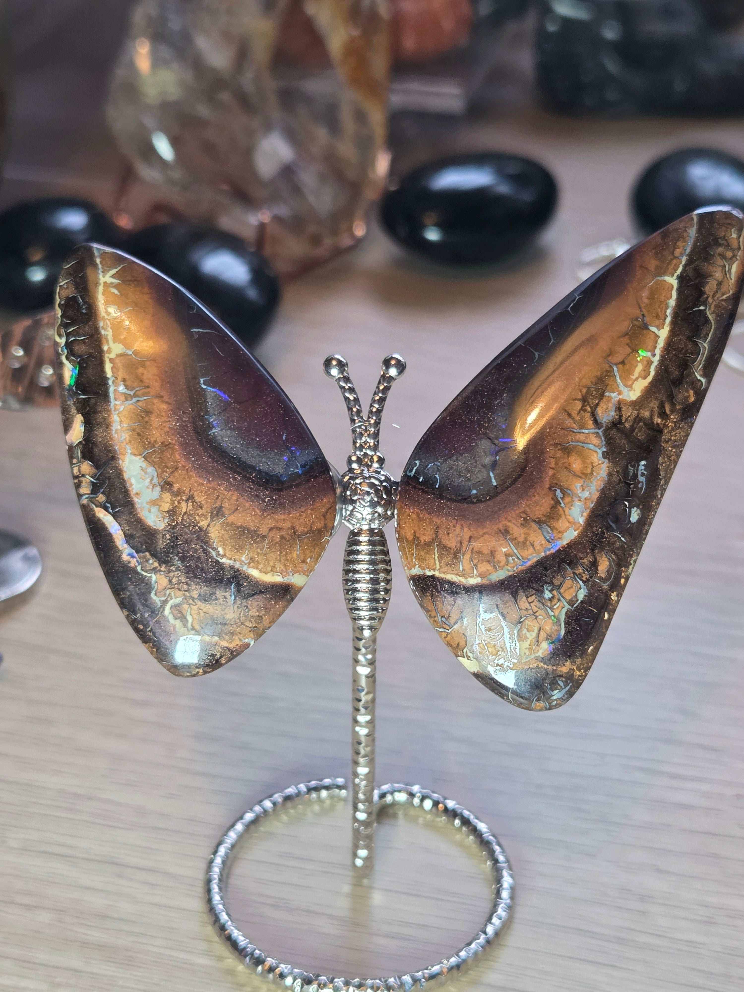 Rare bolder opal crystal butterfly and cut and polished
