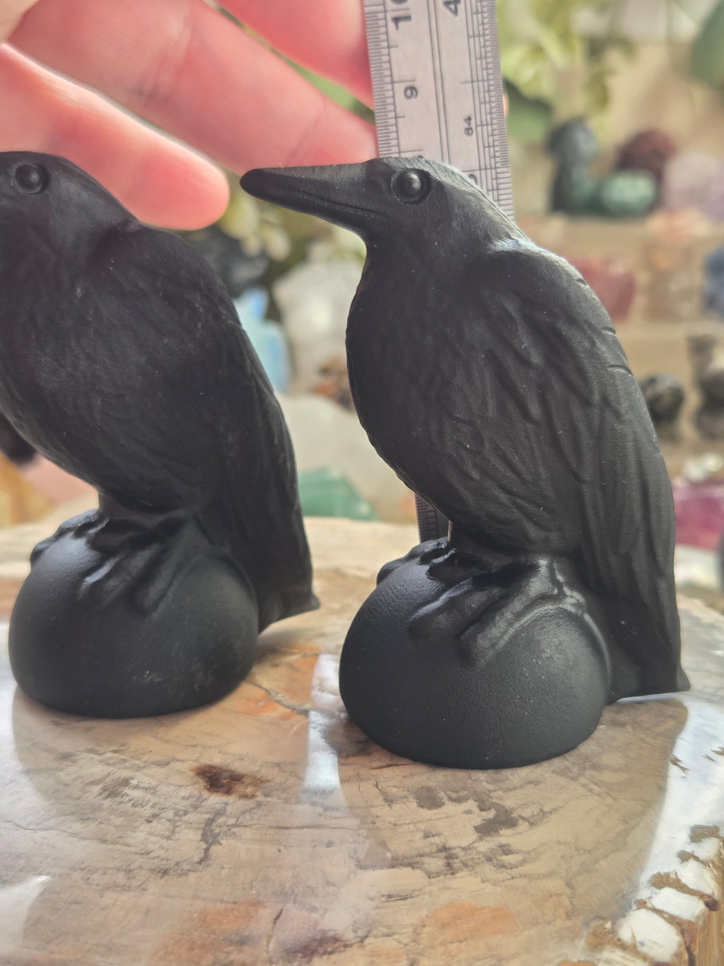 Odin Ravens set of 2