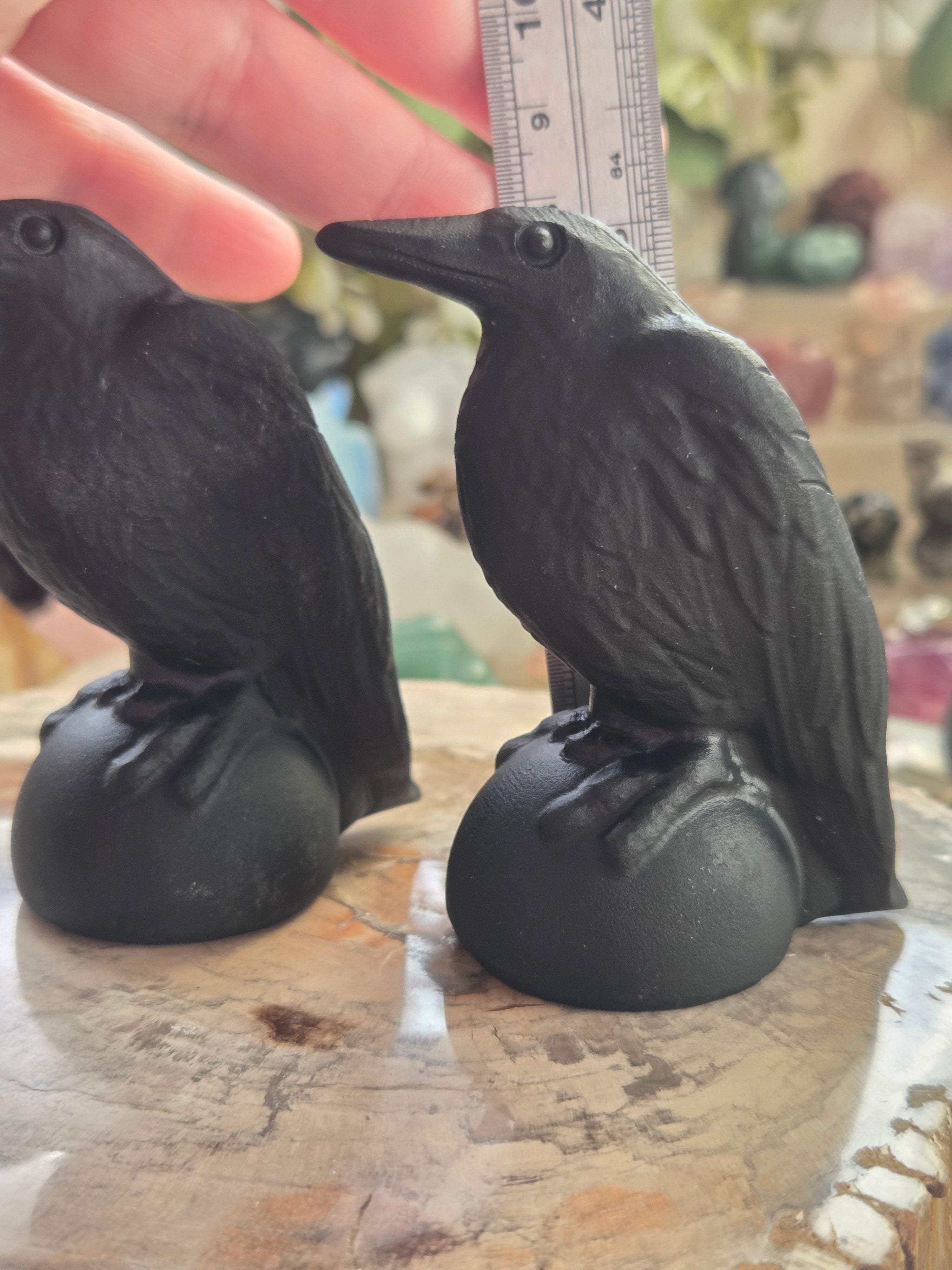 Odin Ravens set of 2