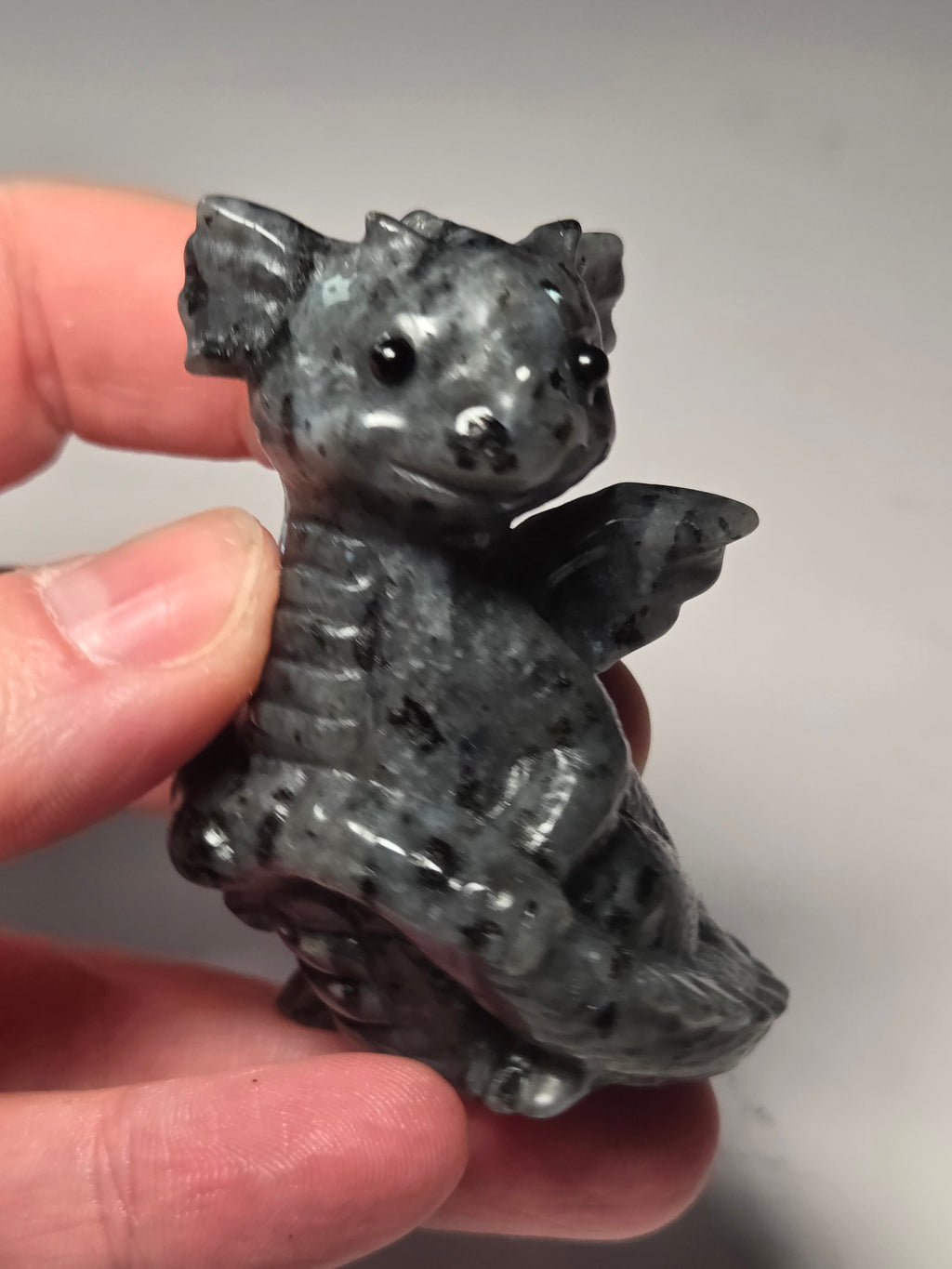 Baby dragon holding tail