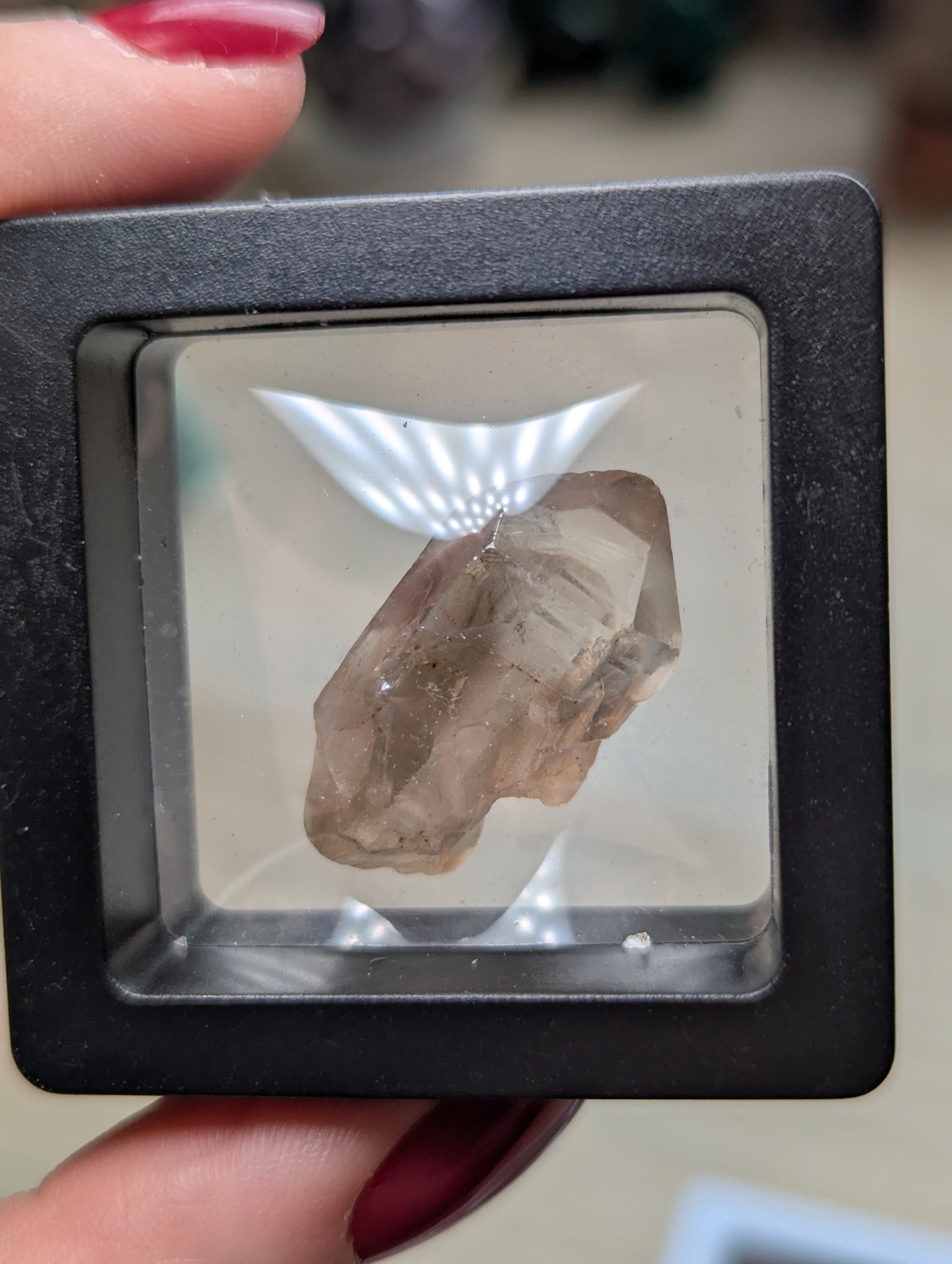 Smokey  Cruz quartz crystal specimen in case