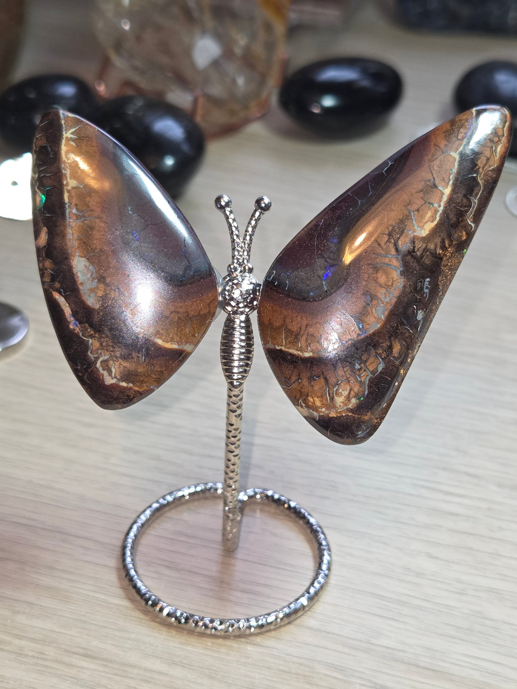 Rare bolder opal crystal butterfly and cut and polished