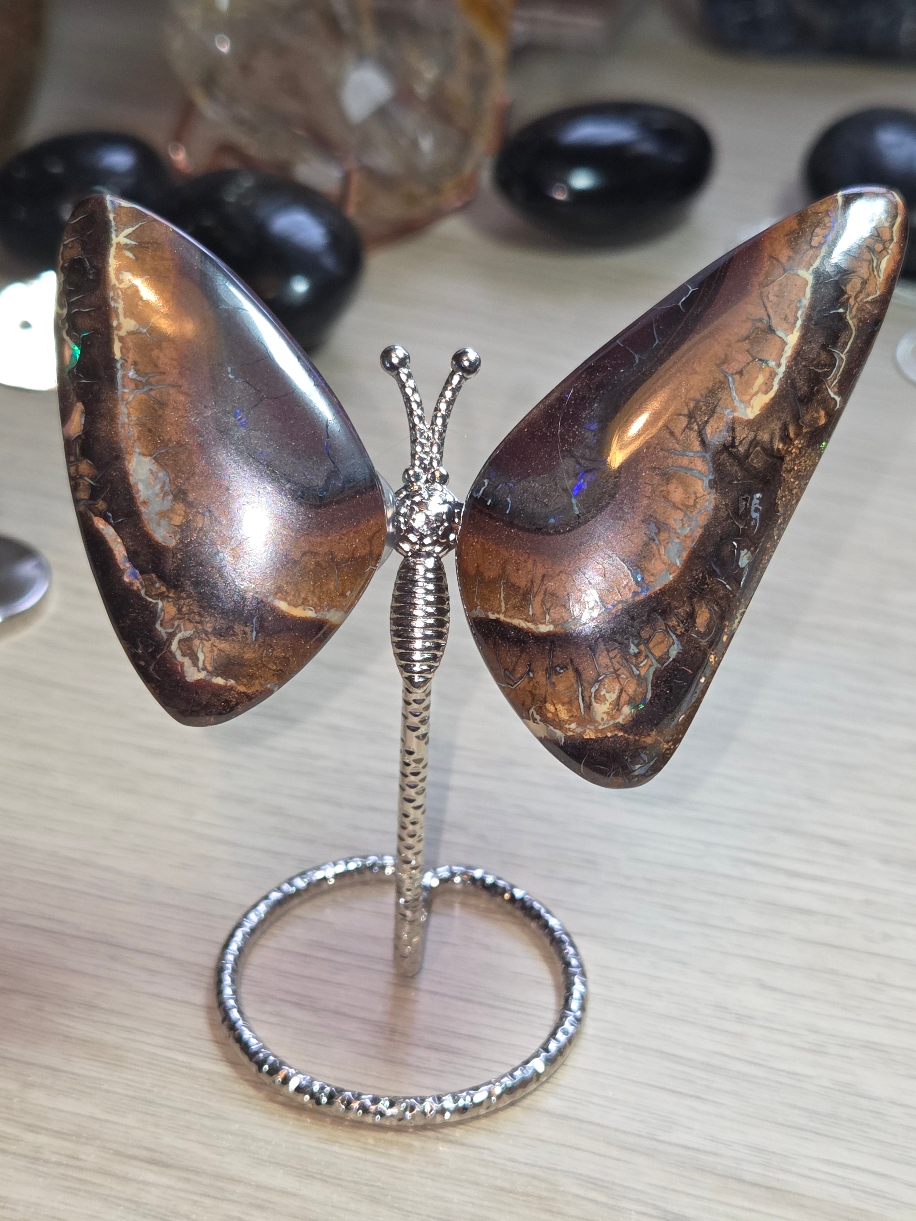 Rare bolder opal crystal butterfly and cut and polished