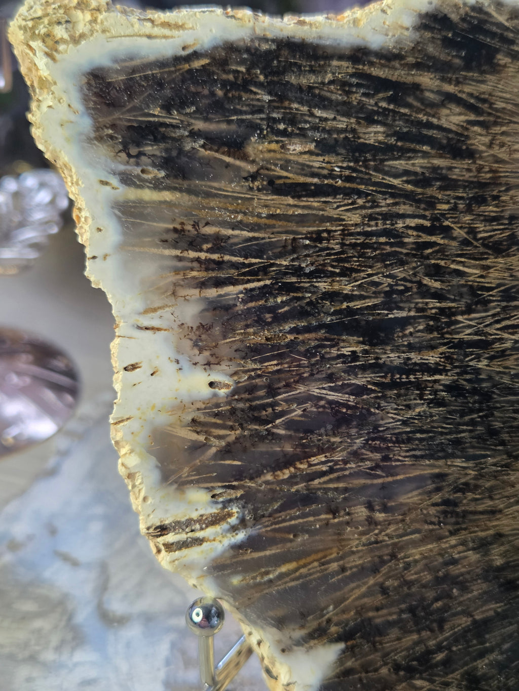 Golden rutile in black agate crystal  slice