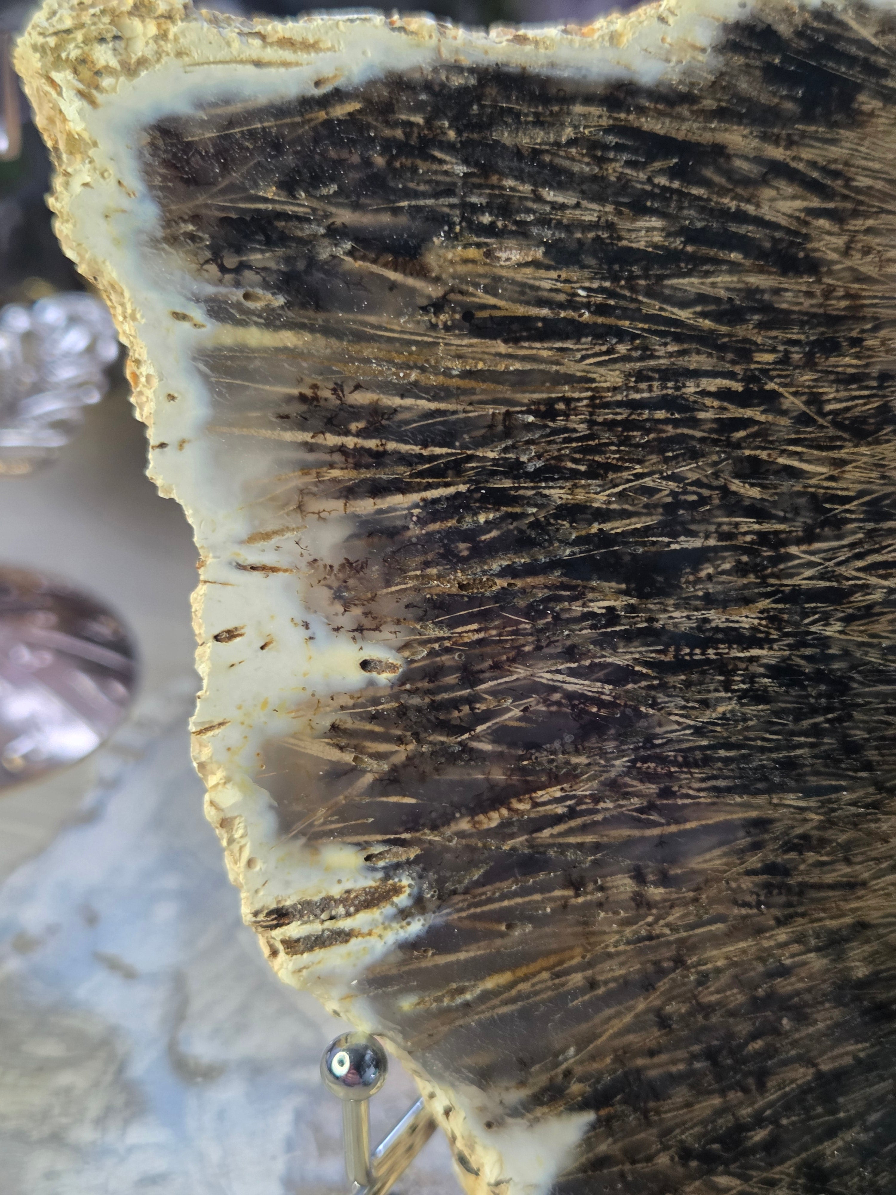 Golden rutile in black agate crystal  slice