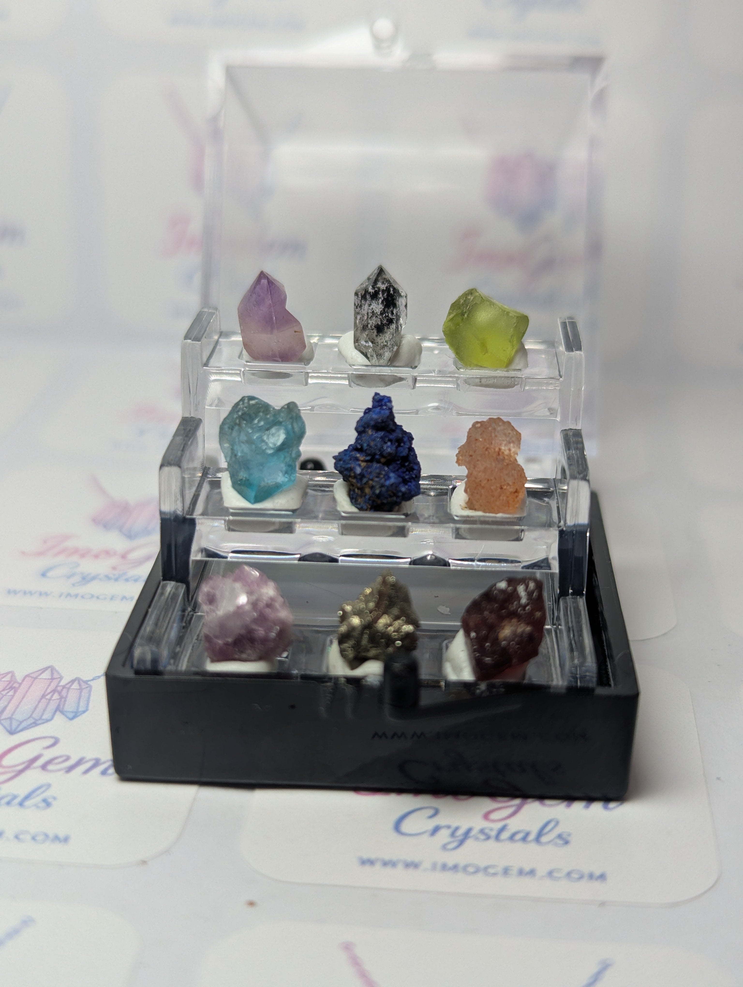 Amazing  mini specimen box