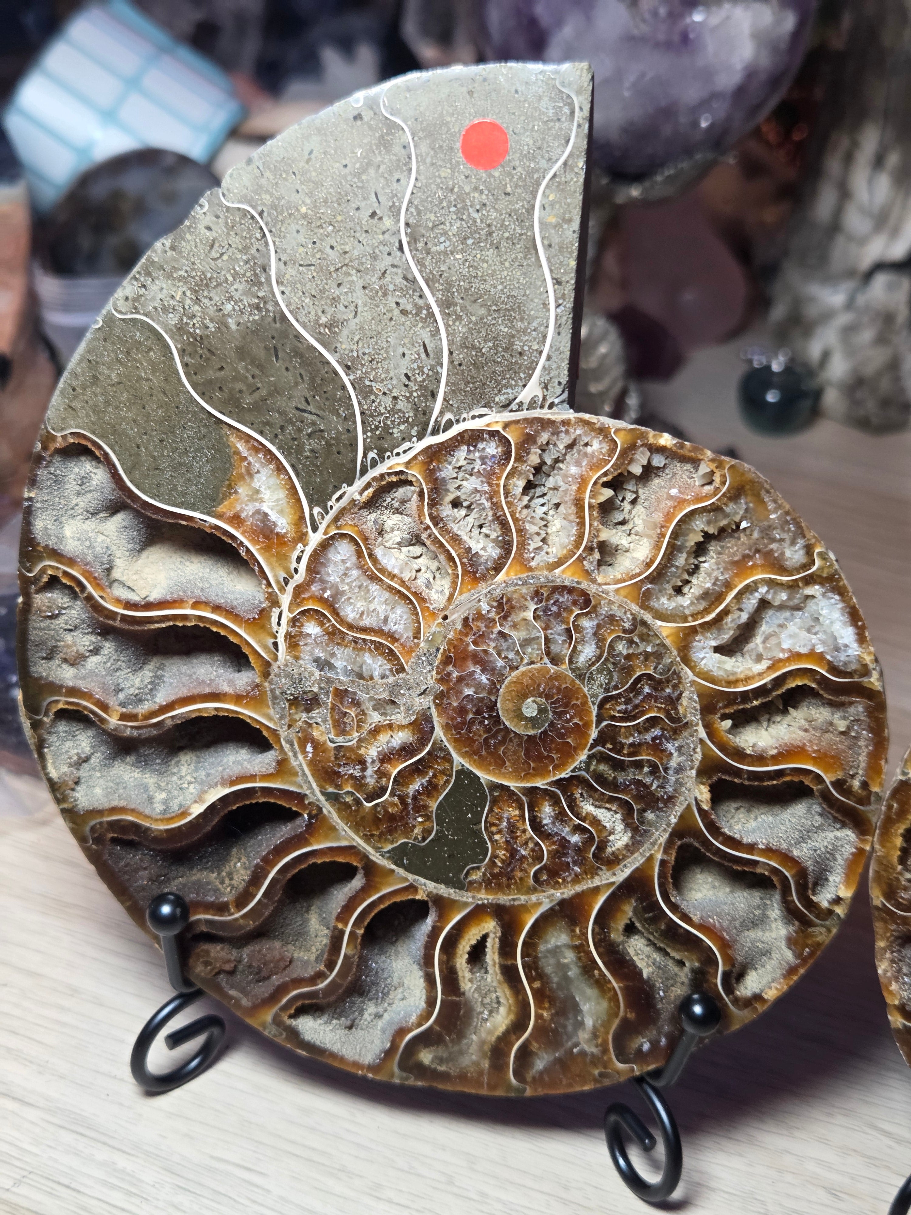 Large Amanite slices with Stands