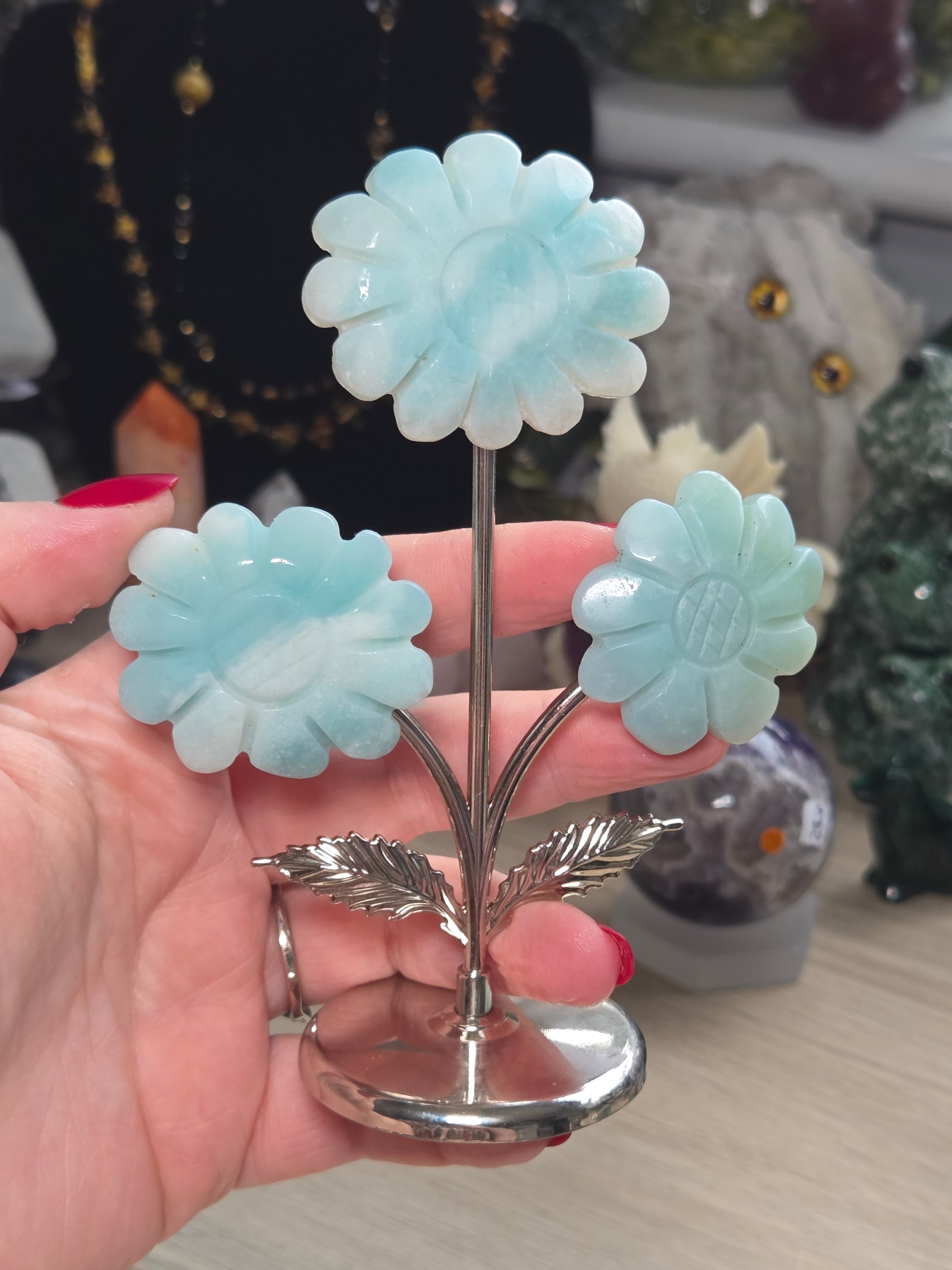 Caribbean calcite flowers