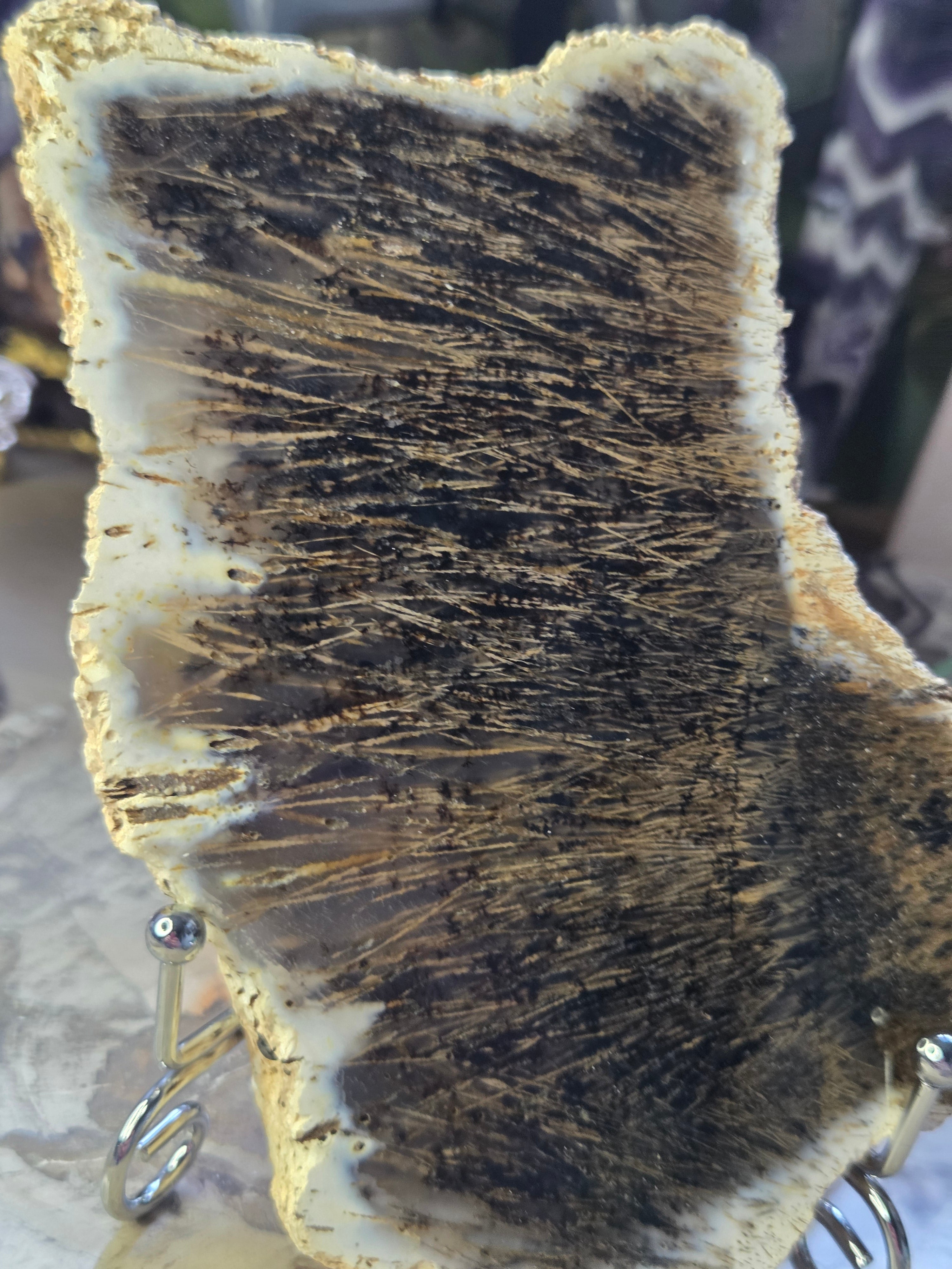 Golden rutile in black agate crystal  slice