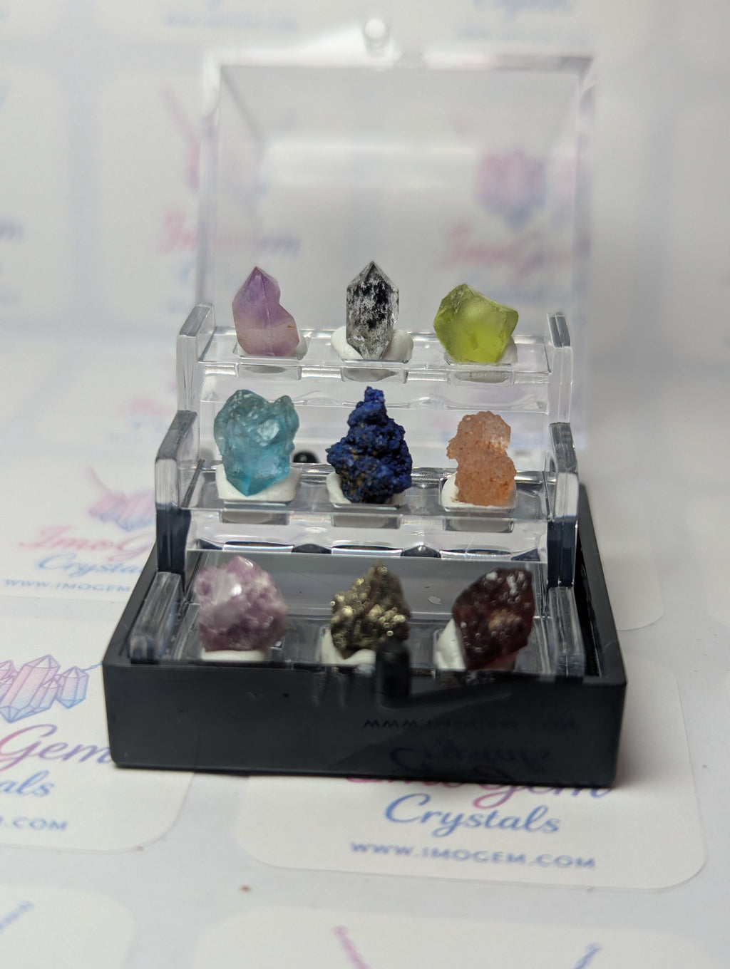 Amazing  mini specimen box