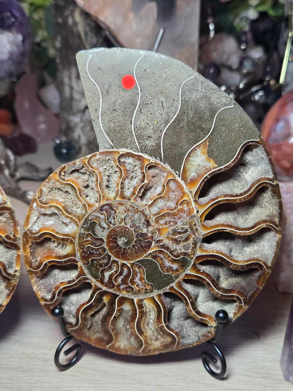 Large Amanite slices with Stands