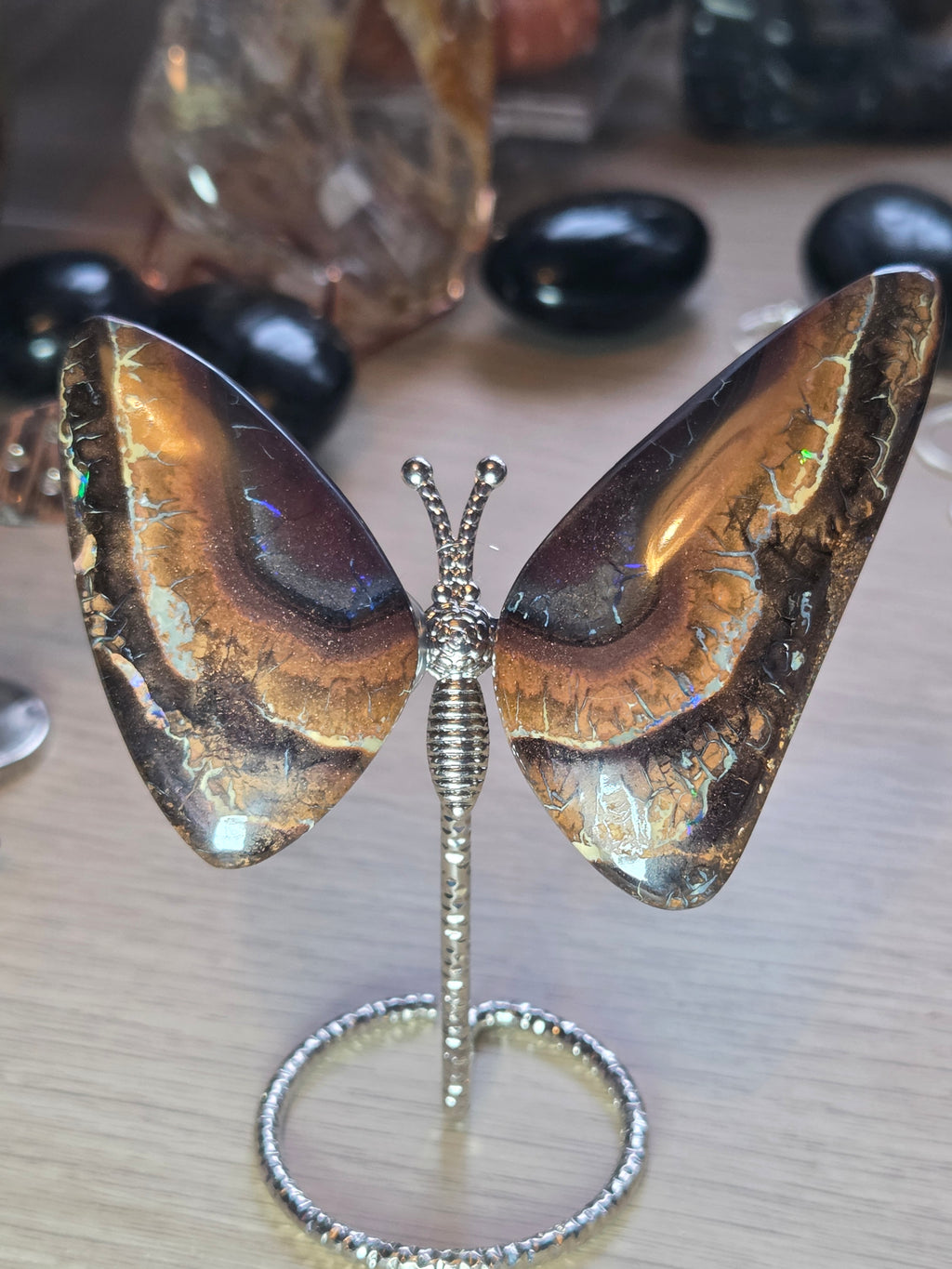 Rare bolder opal crystal butterfly and cut and polished