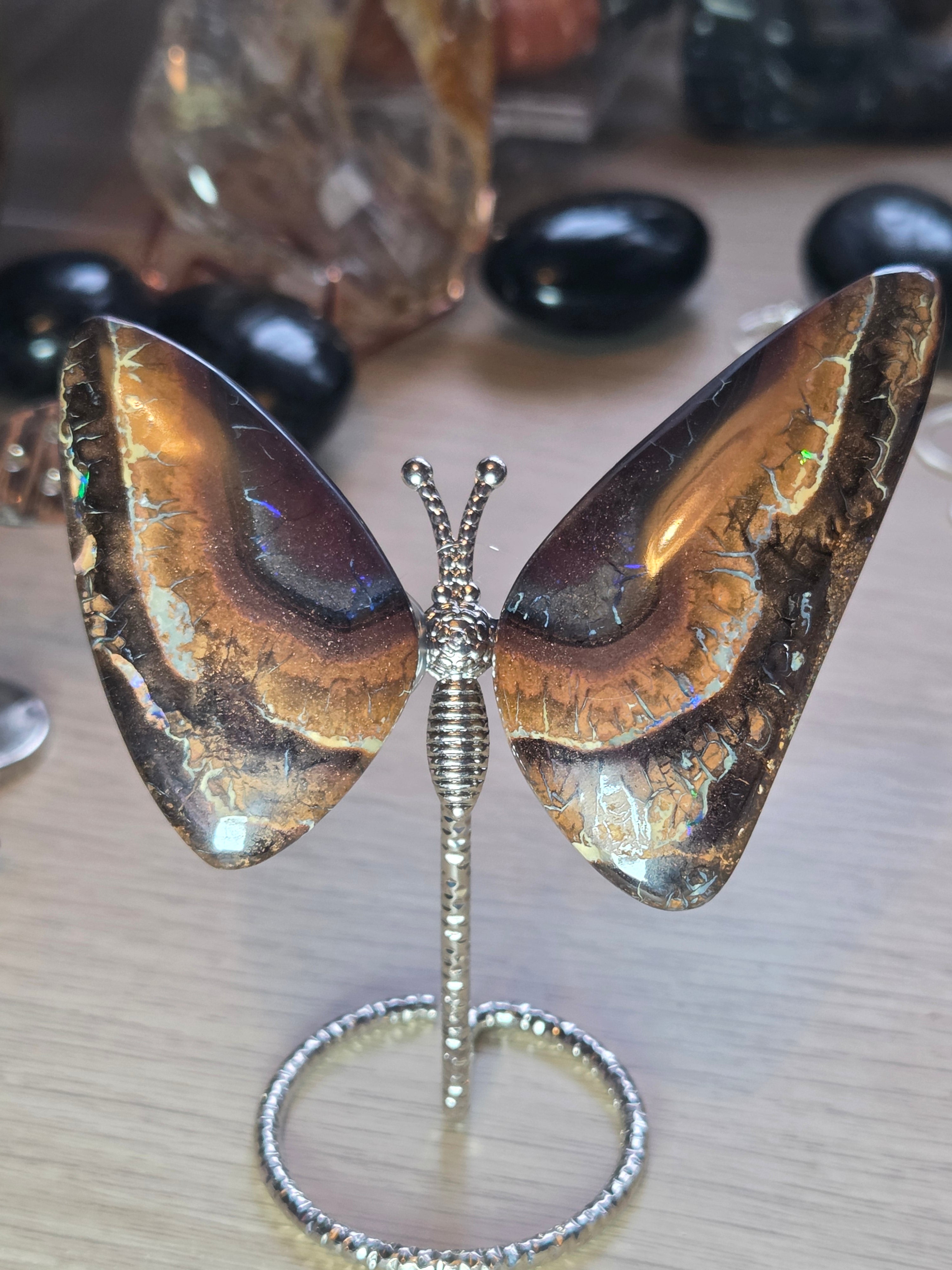 Rare bolder opal crystal butterfly and cut and polished