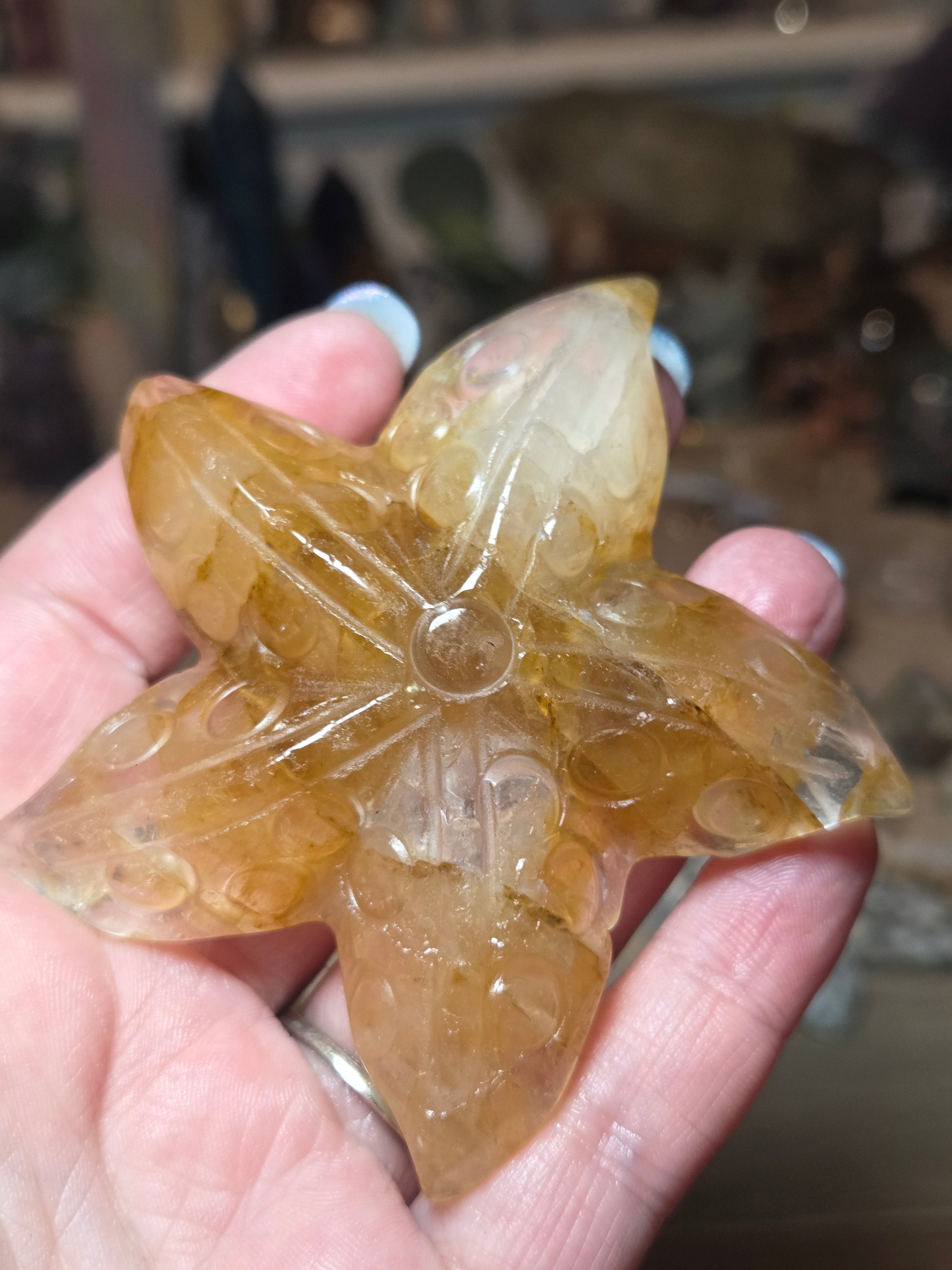 Golden healer star fish carving
