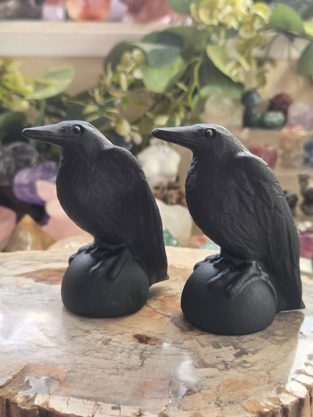 Odin Ravens set of 2