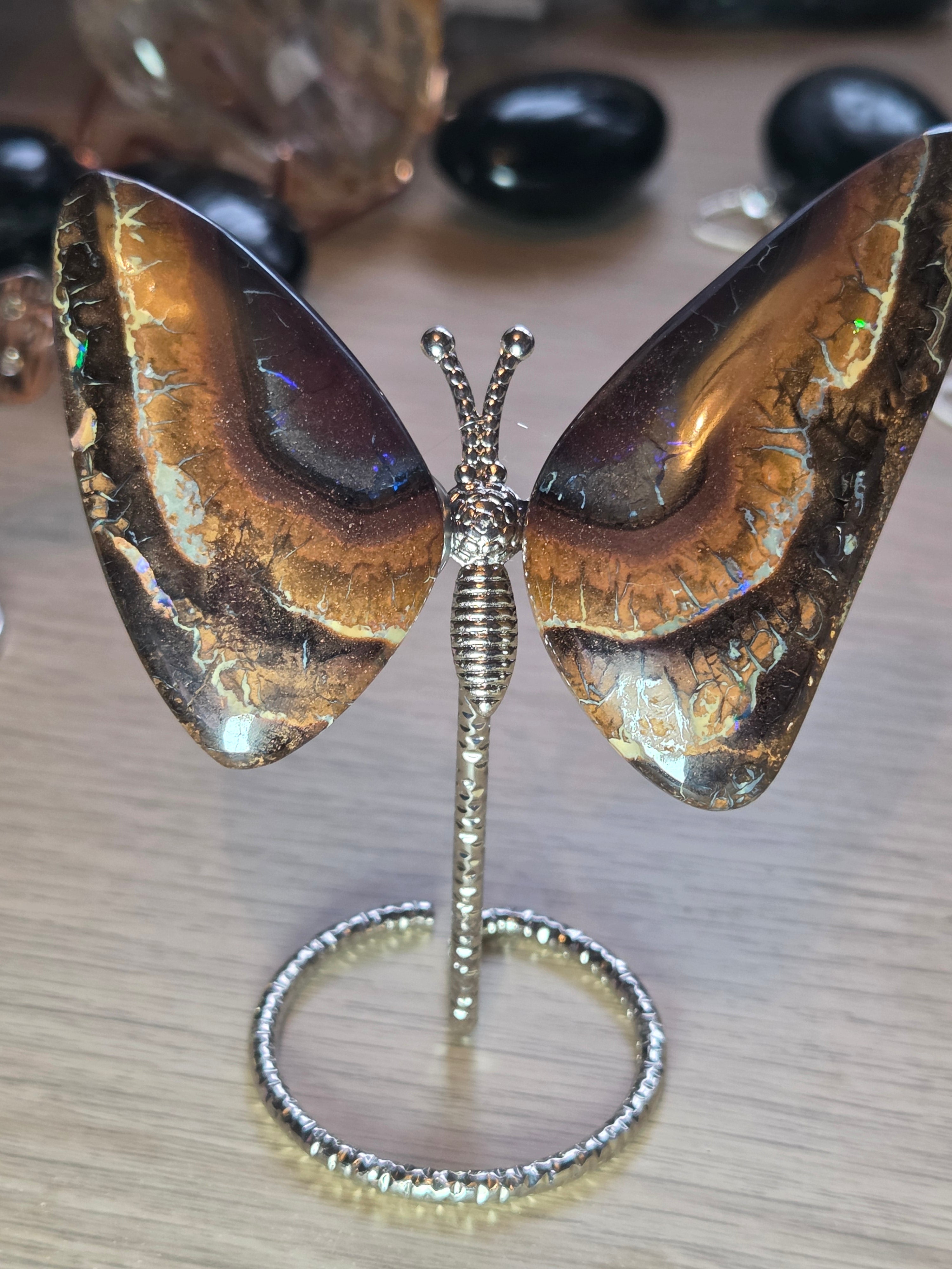 Rare bolder opal crystal butterfly and cut and polished