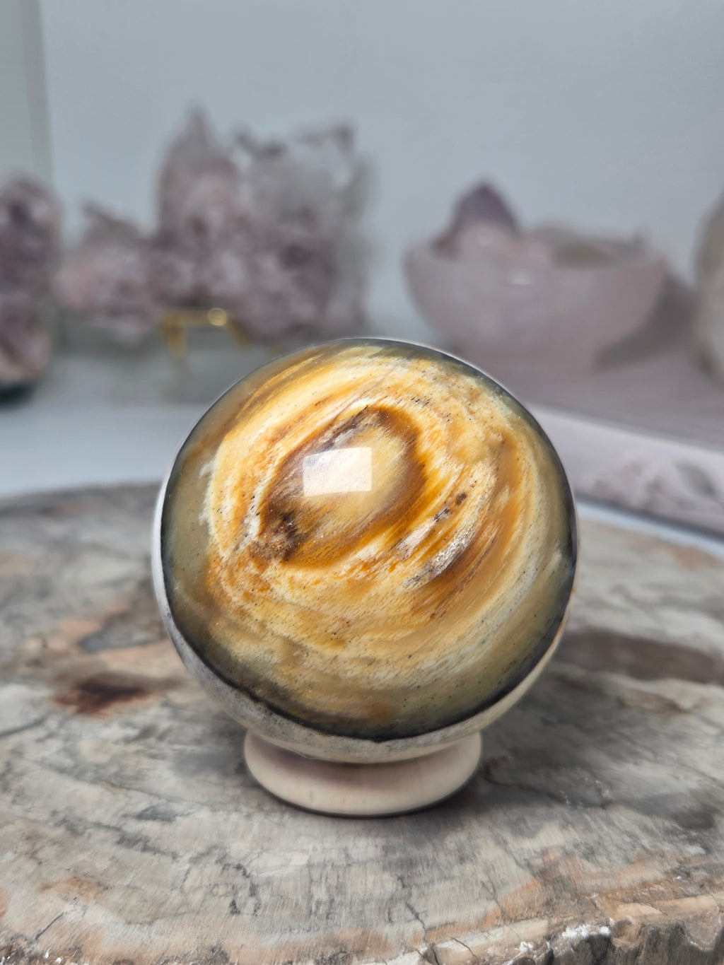 Petrified wood sphere